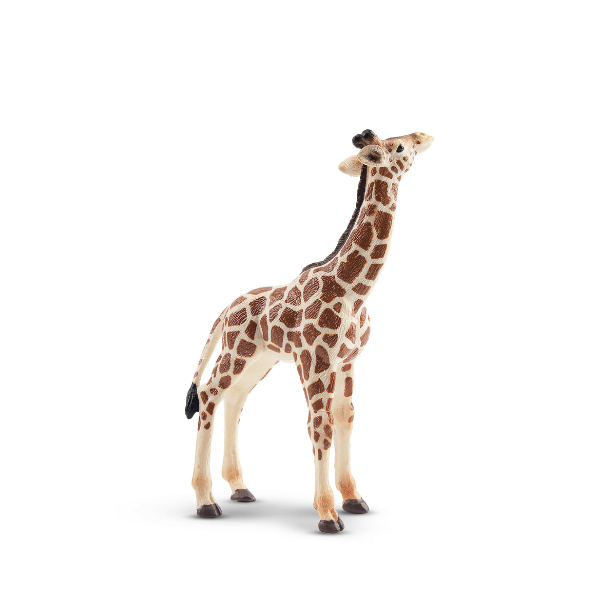 Toymany Animal Figurines Collection | Educational Toys for Children