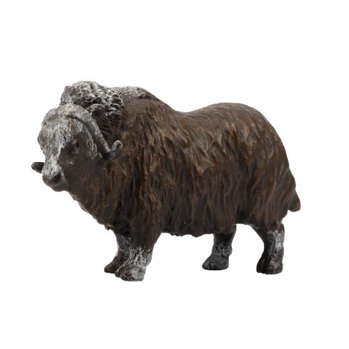 Polar Animal Figurines: Definition, Types, & Fascinating Facts Biology Diagrams