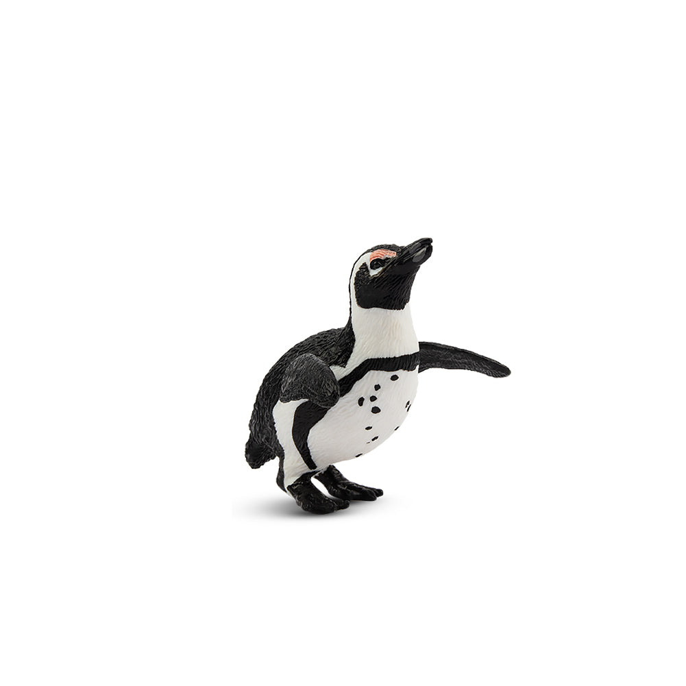Toymany Jackass Penguin Figurine Toy