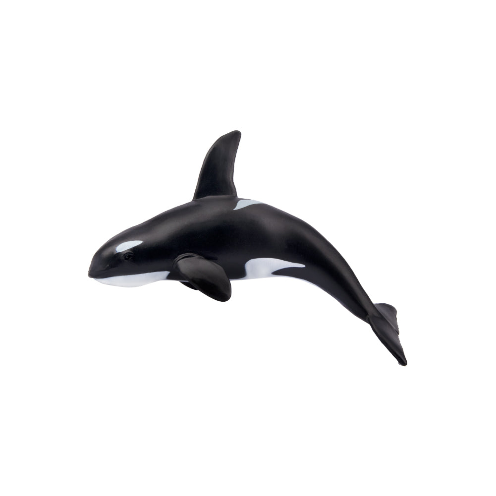 Toymany Killer Whale Figurine Toy - Small Size
