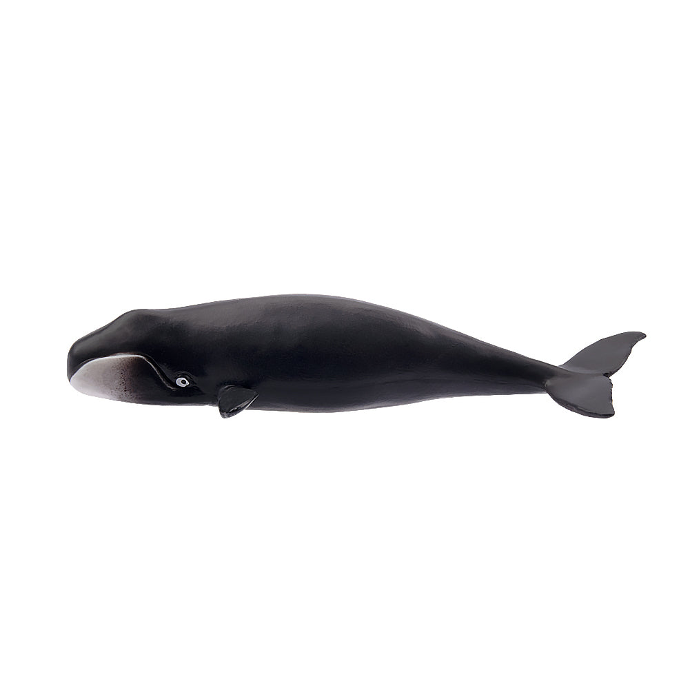 Toymany Bowhead Whale Figurine Toy - Small Size