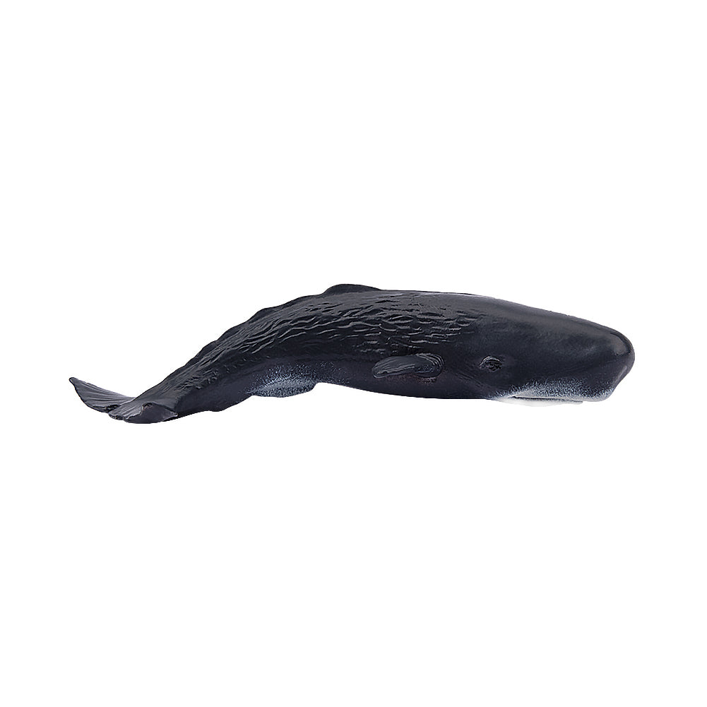 Toymany Sperm Whale Figurine Toy - Small Size