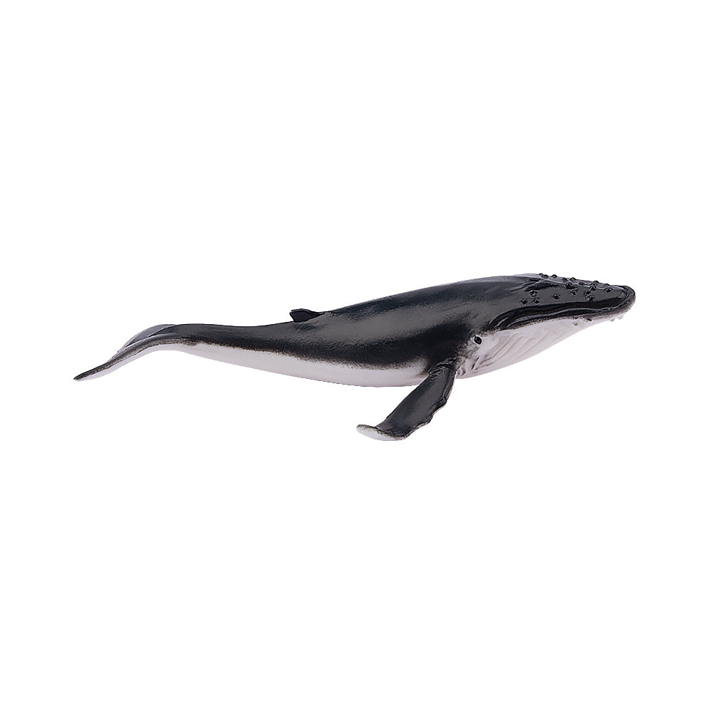Toymany Humpback Whale Figurine Toy - Small Size