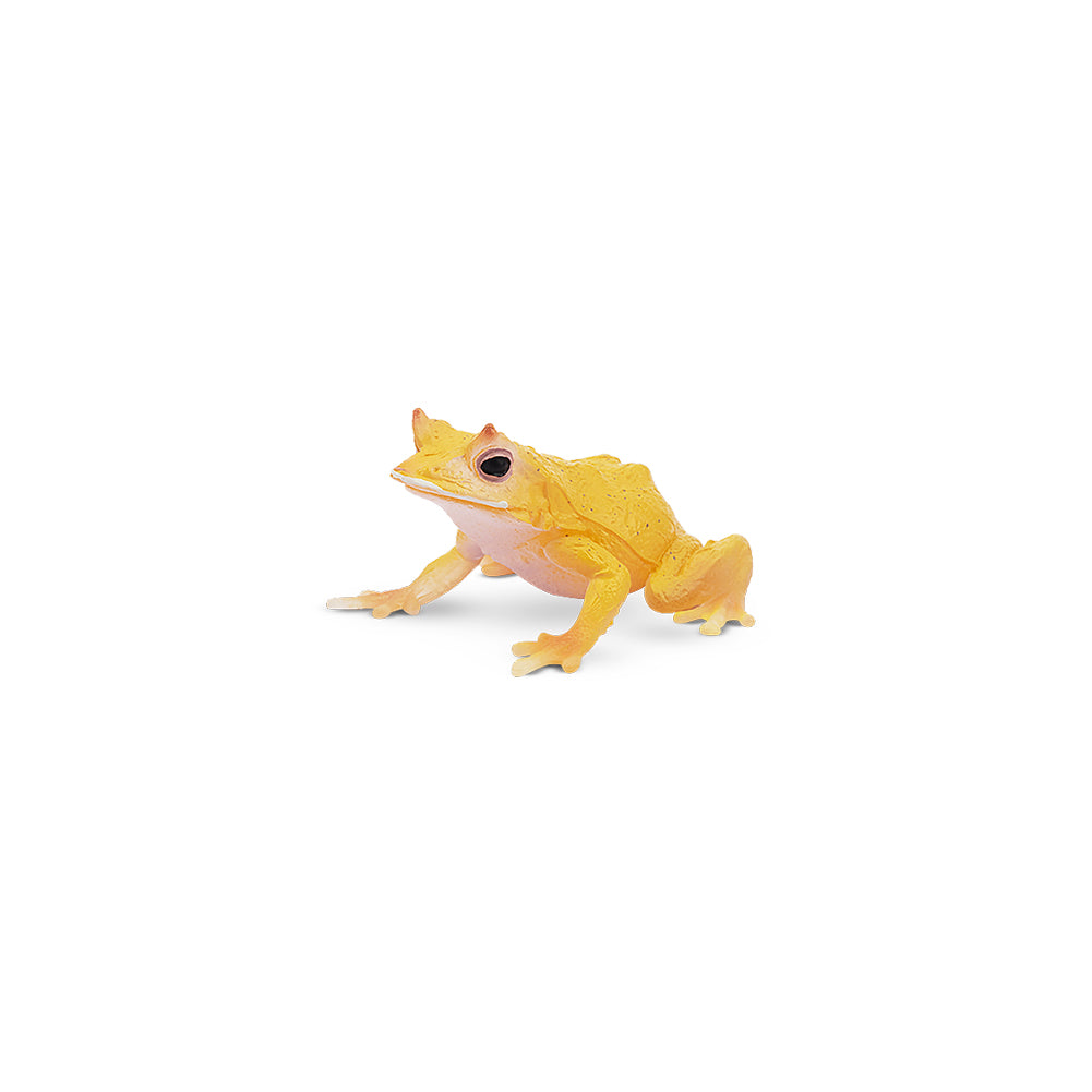 Toymany Solomon Island Leaf Frog Figurine Toy-first