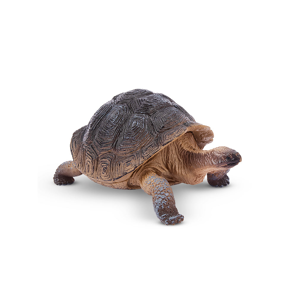 Toymany Galapagos Tortoise Figurine | Realistic Animal Figurine Toy