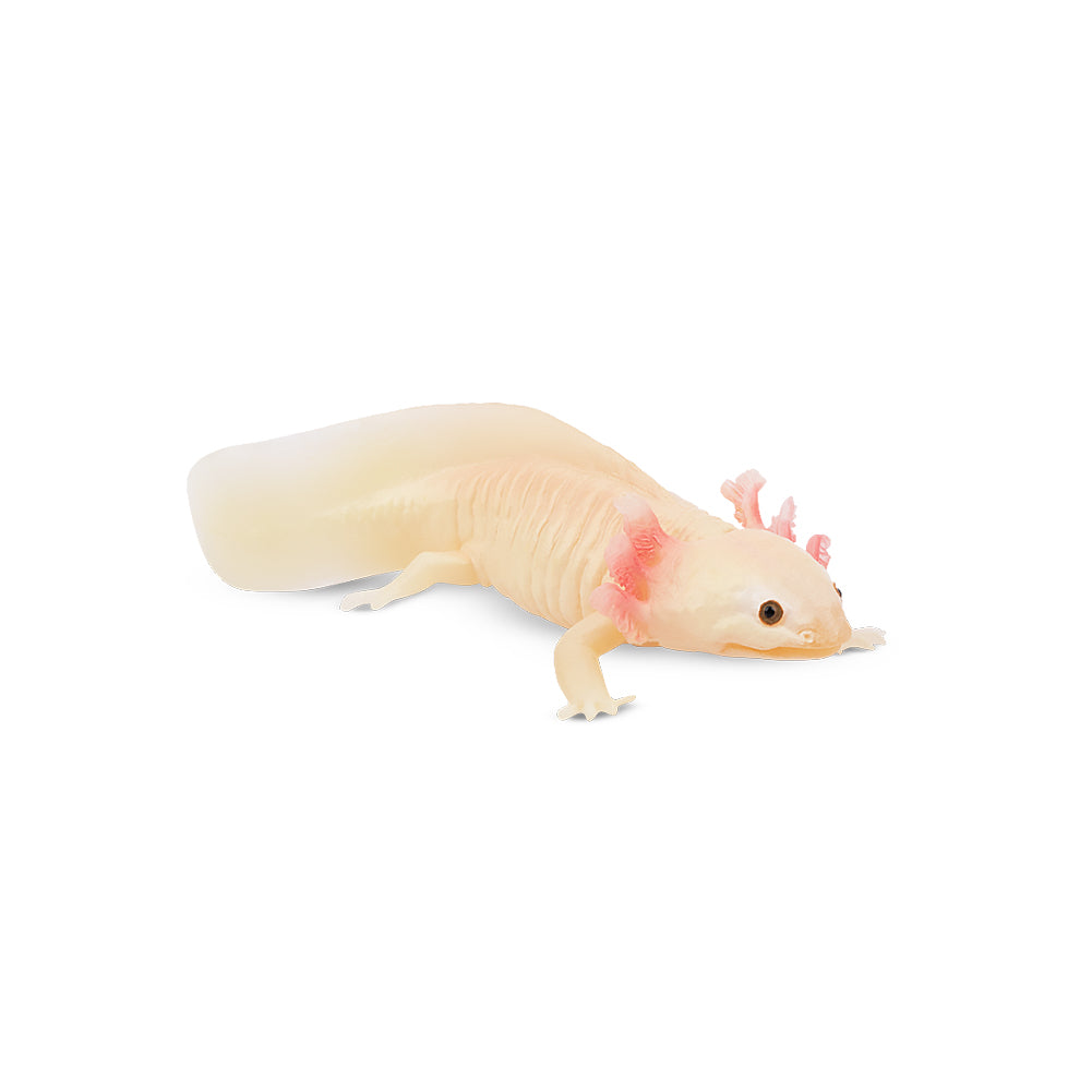 Toymany Salamander Figurine Toy