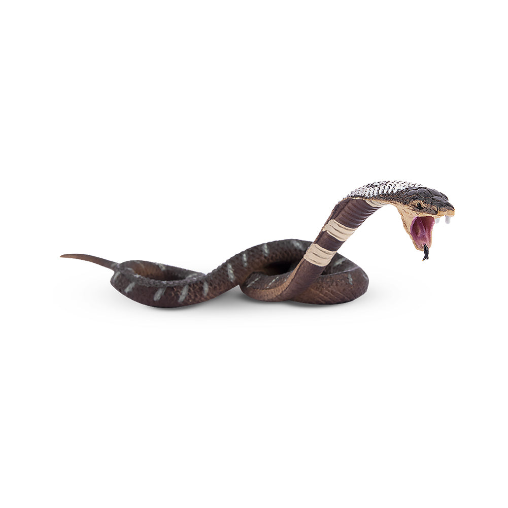 Toymany Reptile Realm Series - Authentic Reptile Figurines