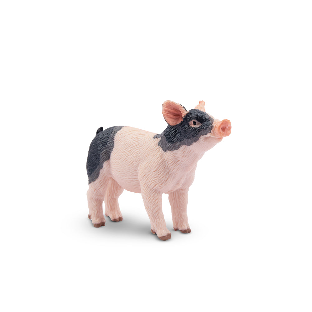 Toymany Gazing Grey Piglet Figurine Toy
