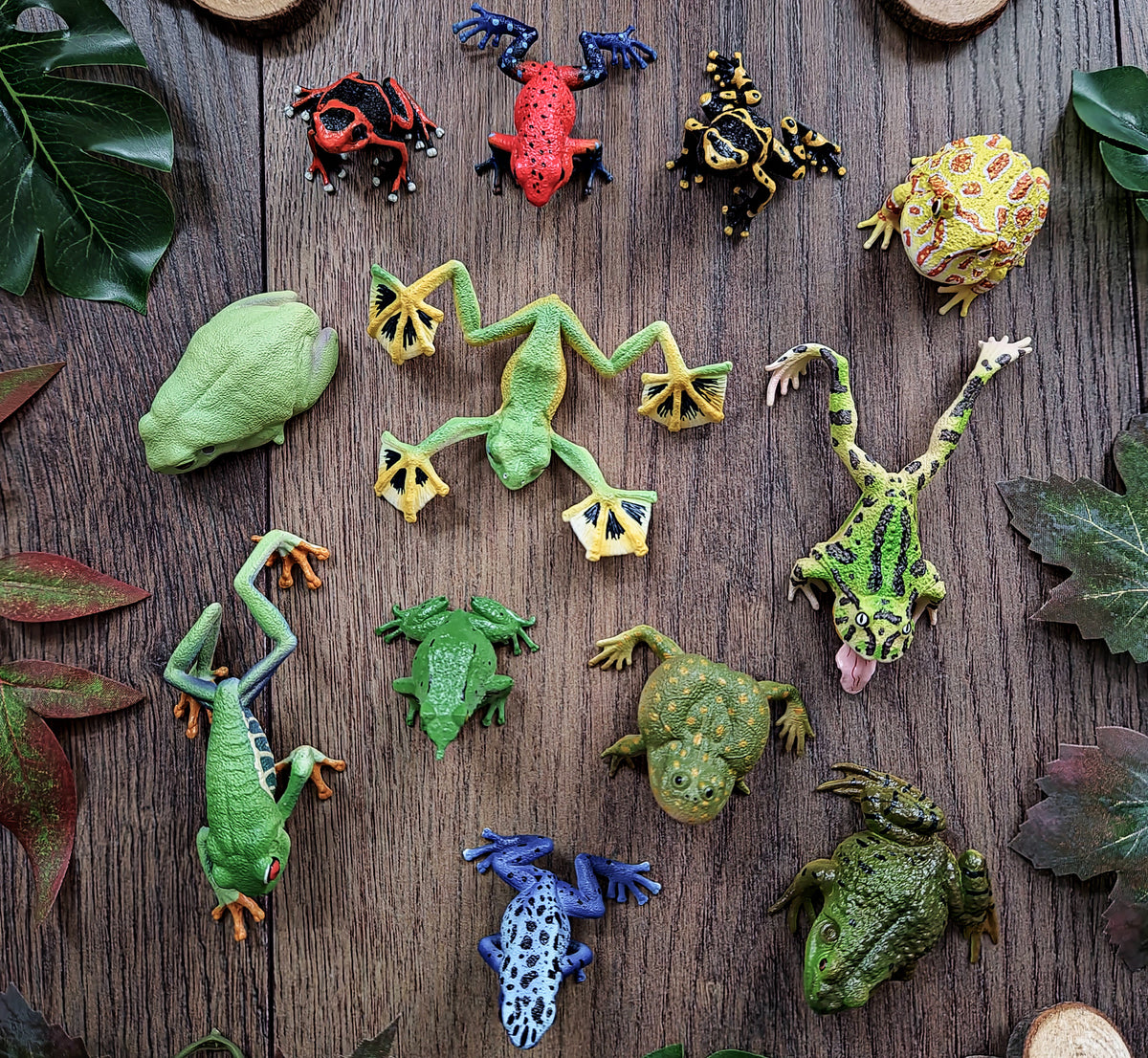 Toymany Fresh Finds | New Frog Figurines Collection