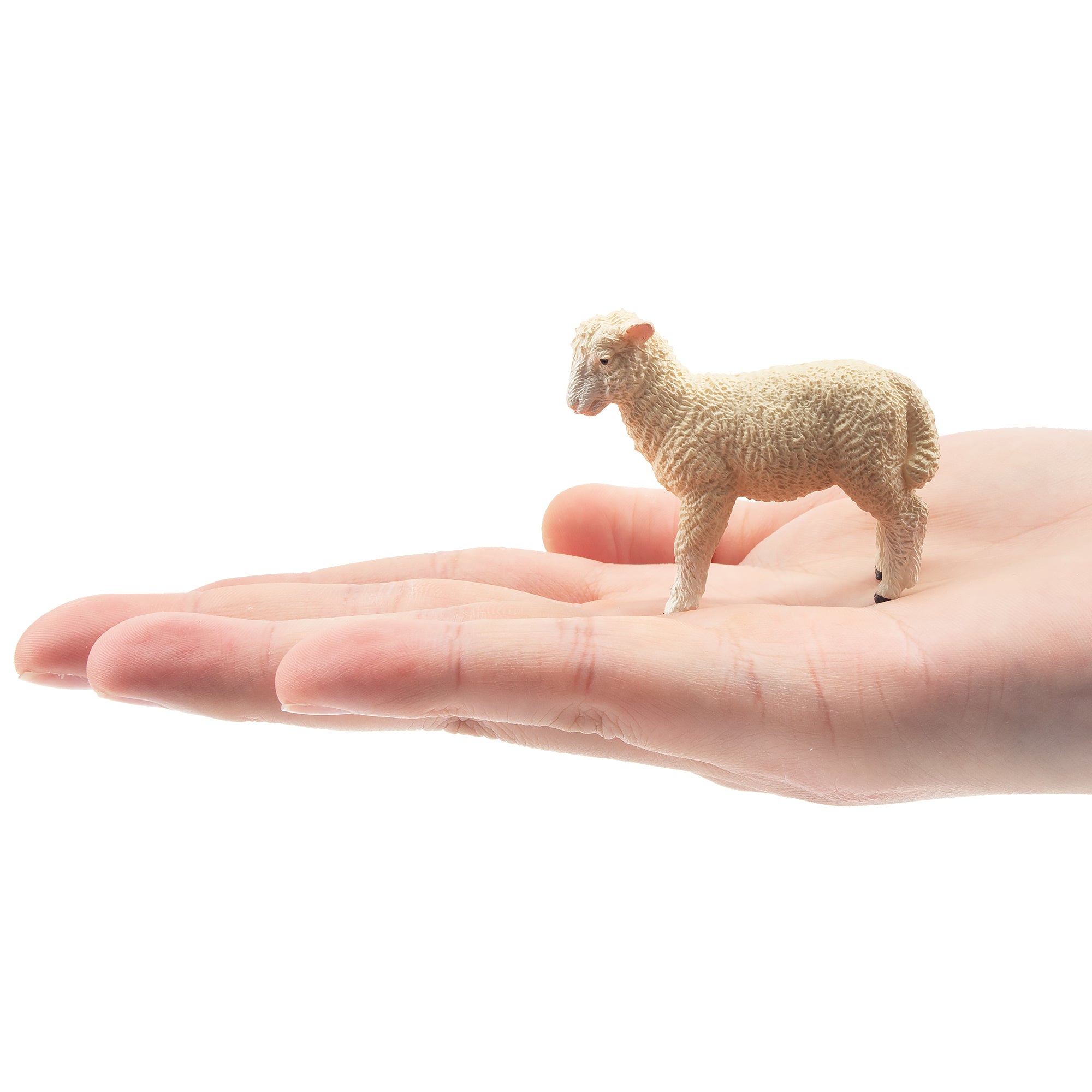 Toymany Ambling Light-Haired Lamb Figurine Toy-on hand