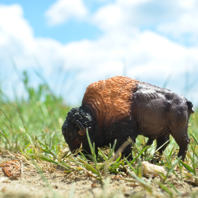 Toymany American Bison Figurine Toy-outdoor