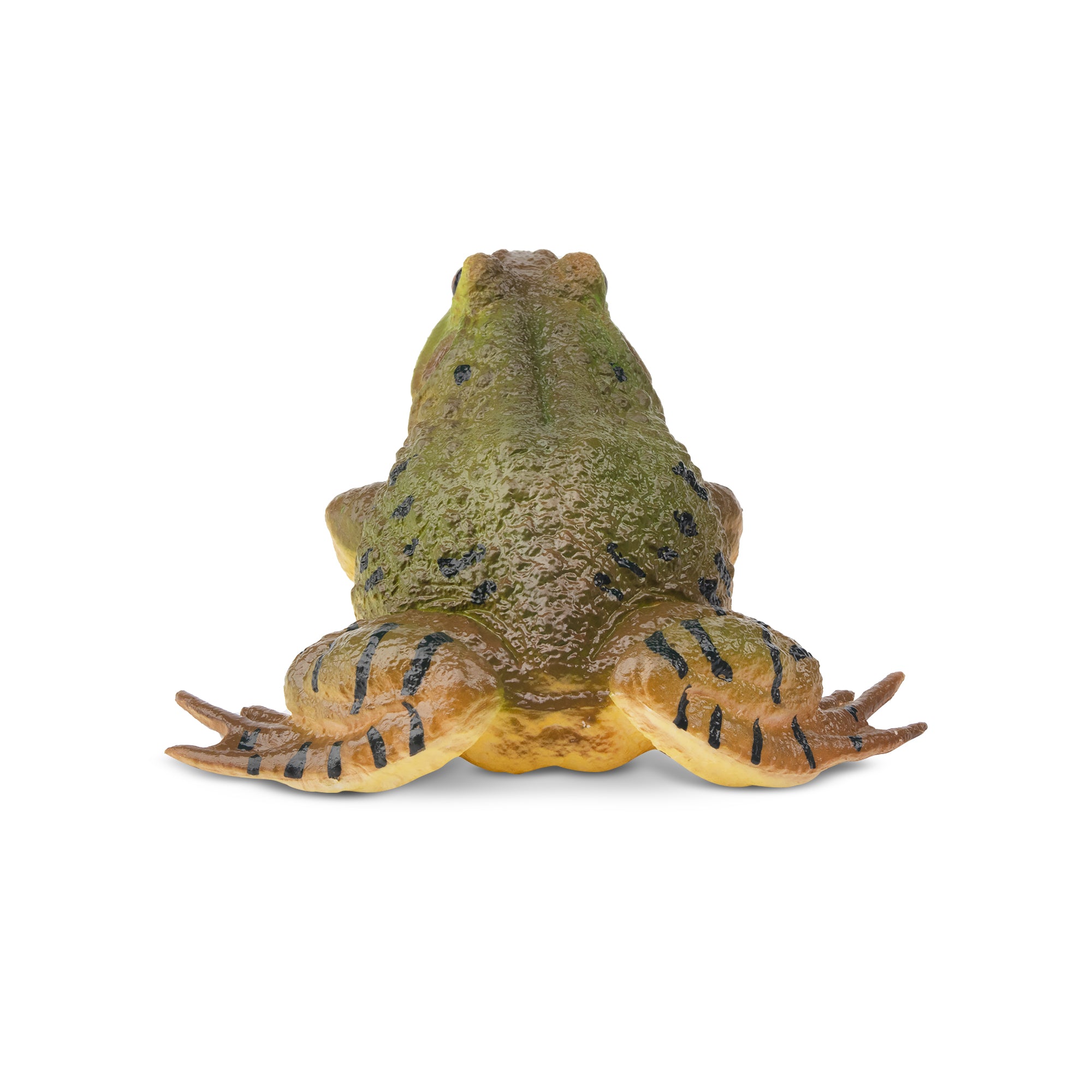 Toymany American Bullfrog Figurine Toy-back