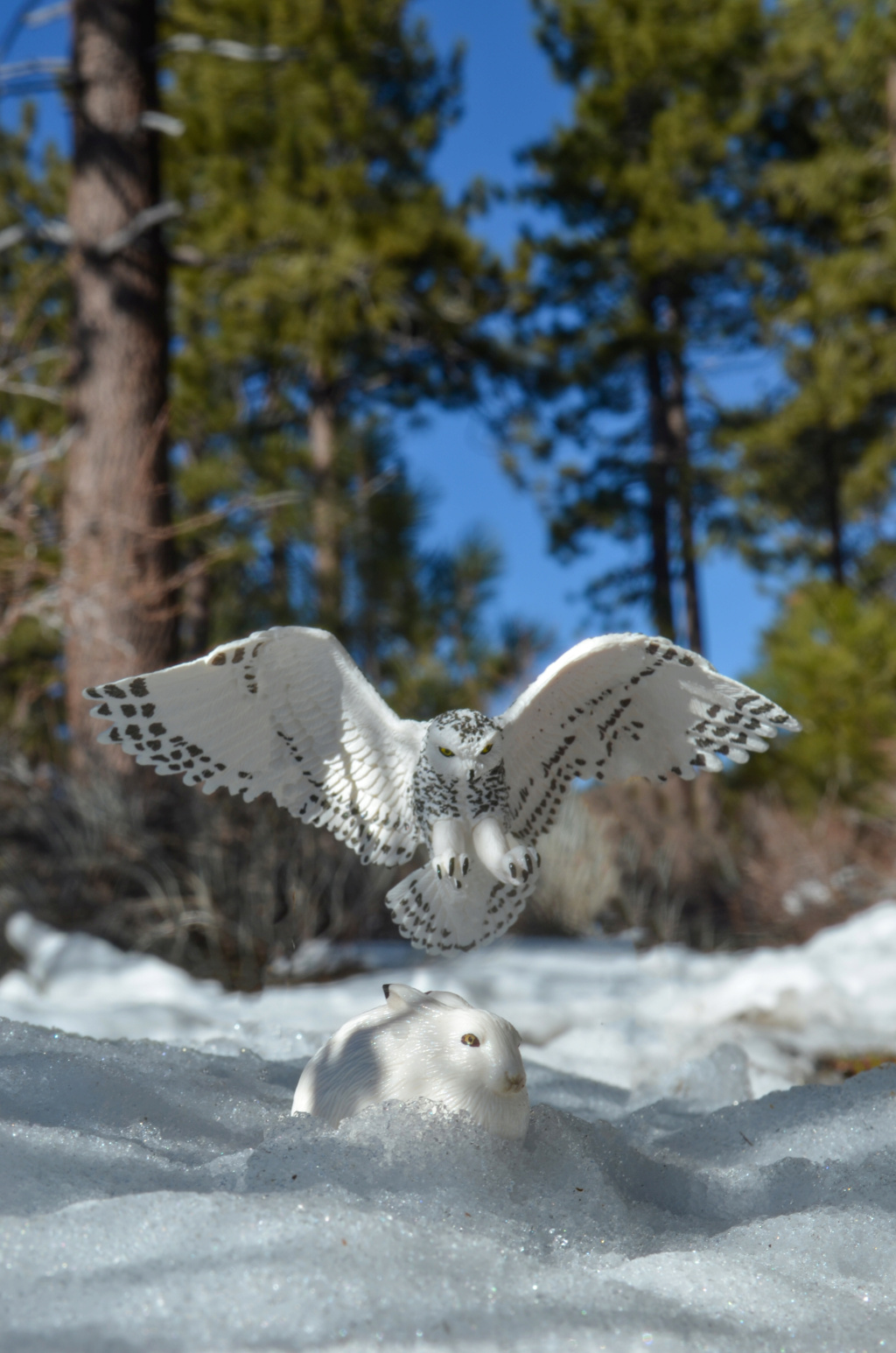 Toymany Arctic Falcon Figurine Toy-outdoor