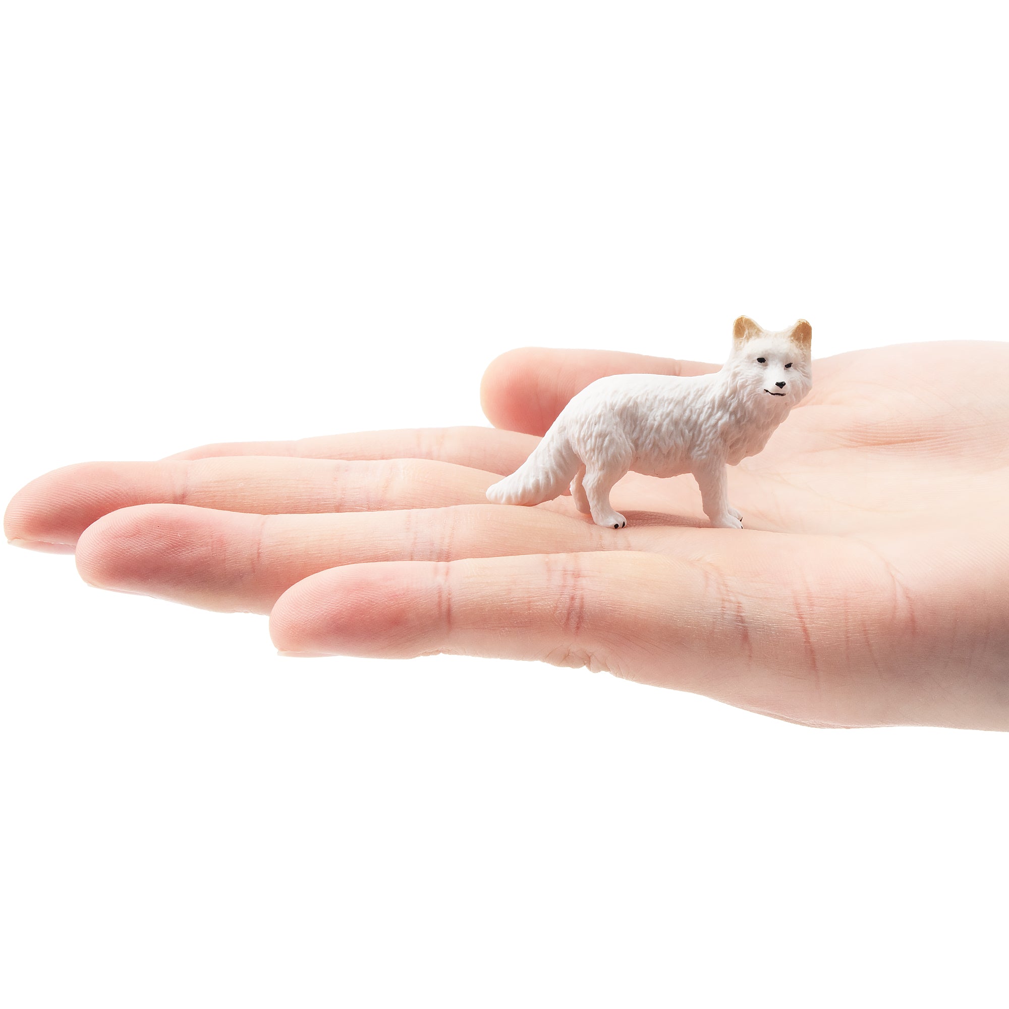 Toymany Arctic Fox Figurine Toy-on hand