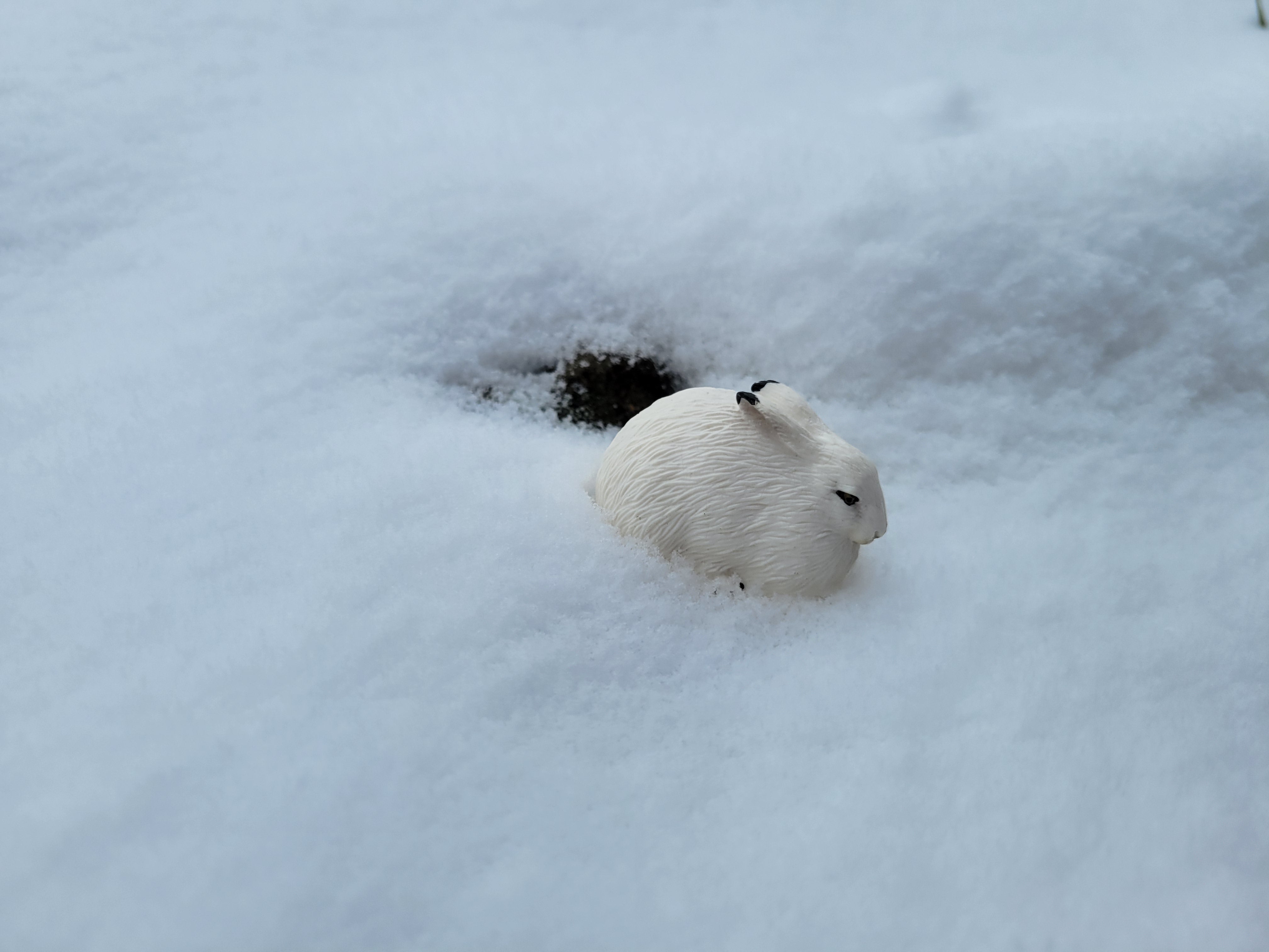 Toymany Arctic Hare Figurine Toy-snow