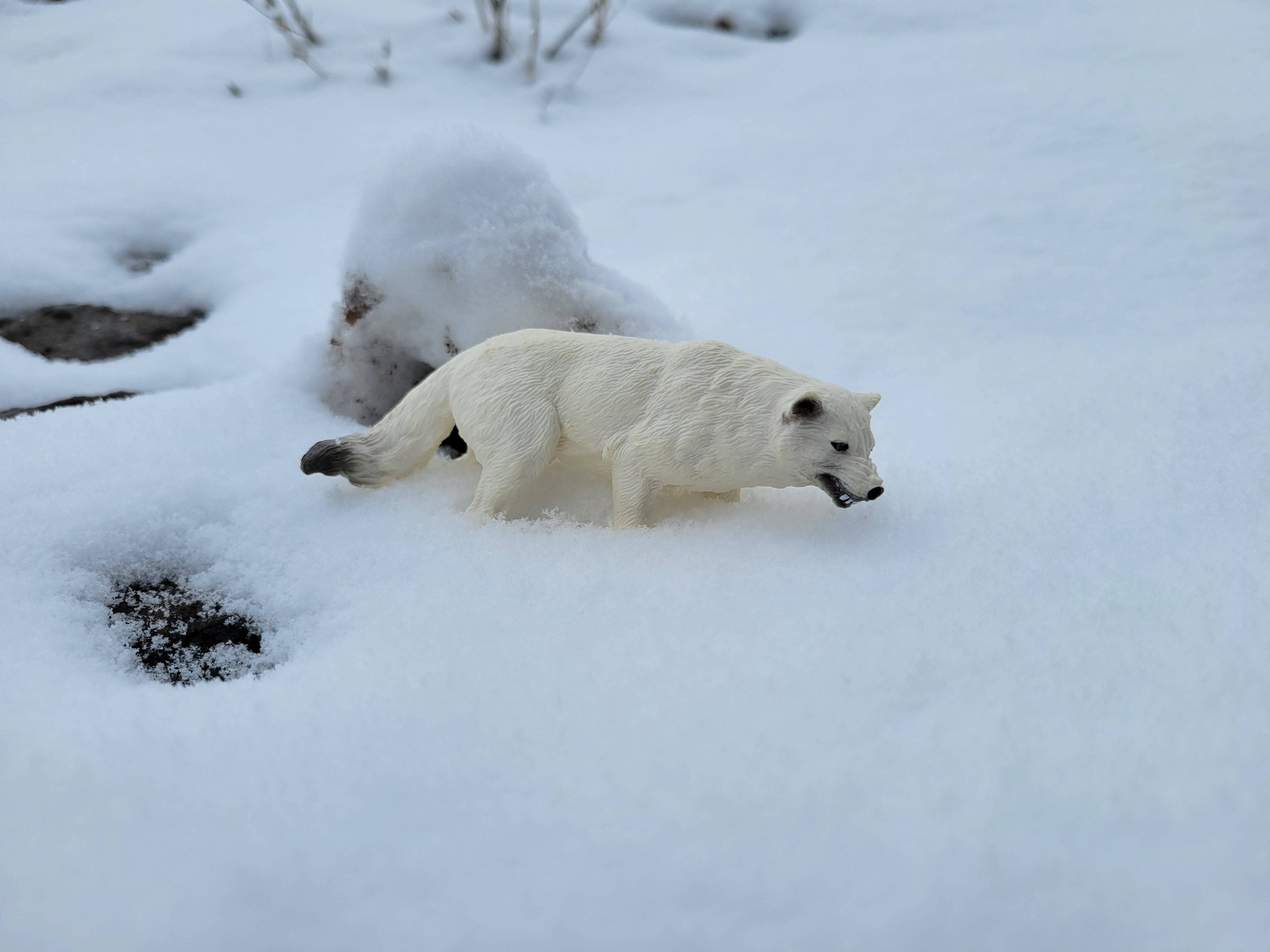 Toymany Arctic Wolf Figurine Toy-outdoor