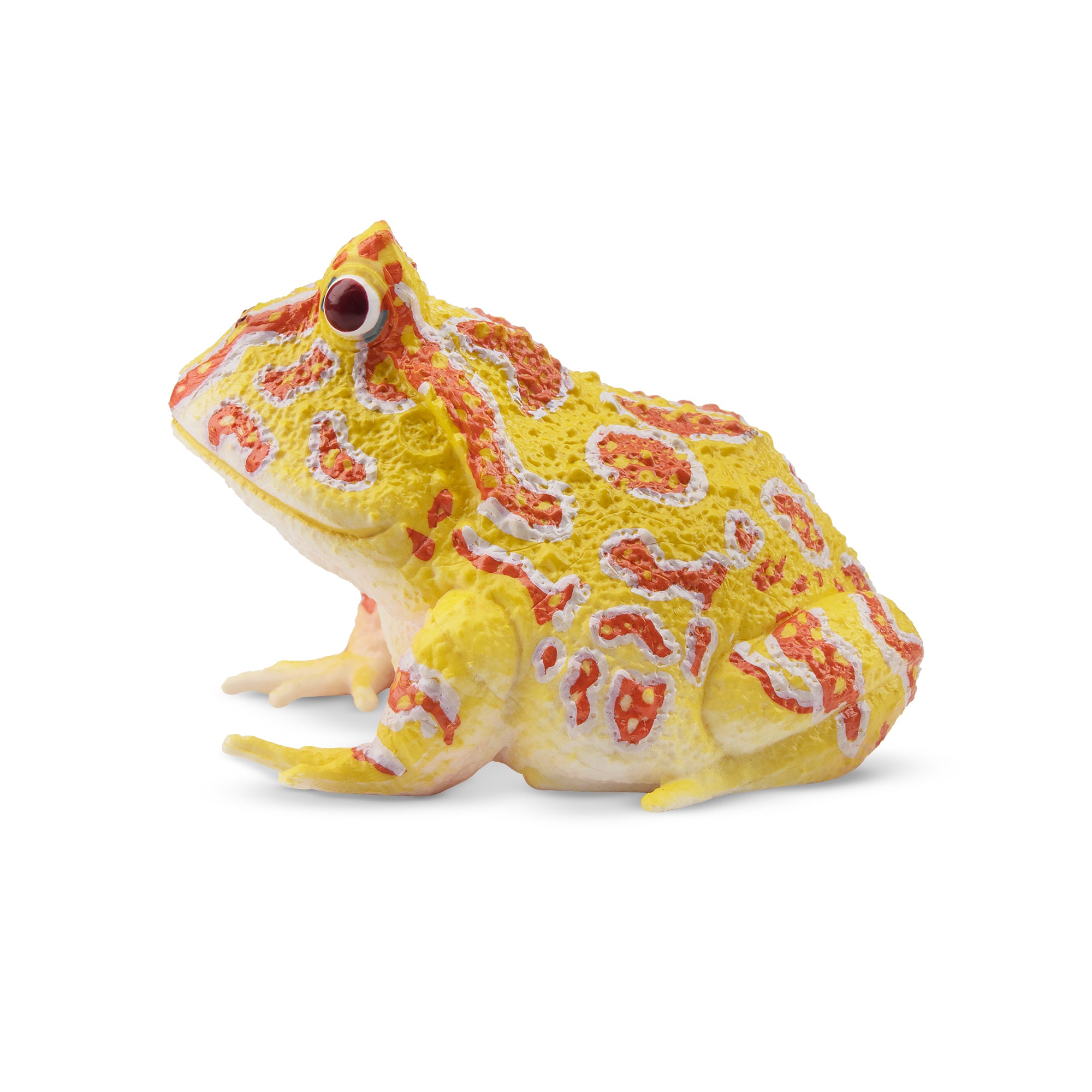 Toymany Argentine Horned Frog Figurine Toy-2