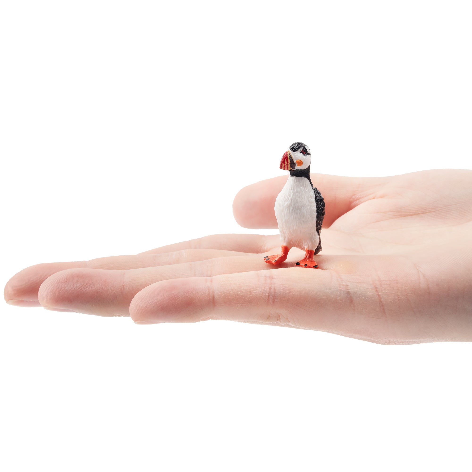 Toymany Atlantic Puffin Figurine Toy-on hand