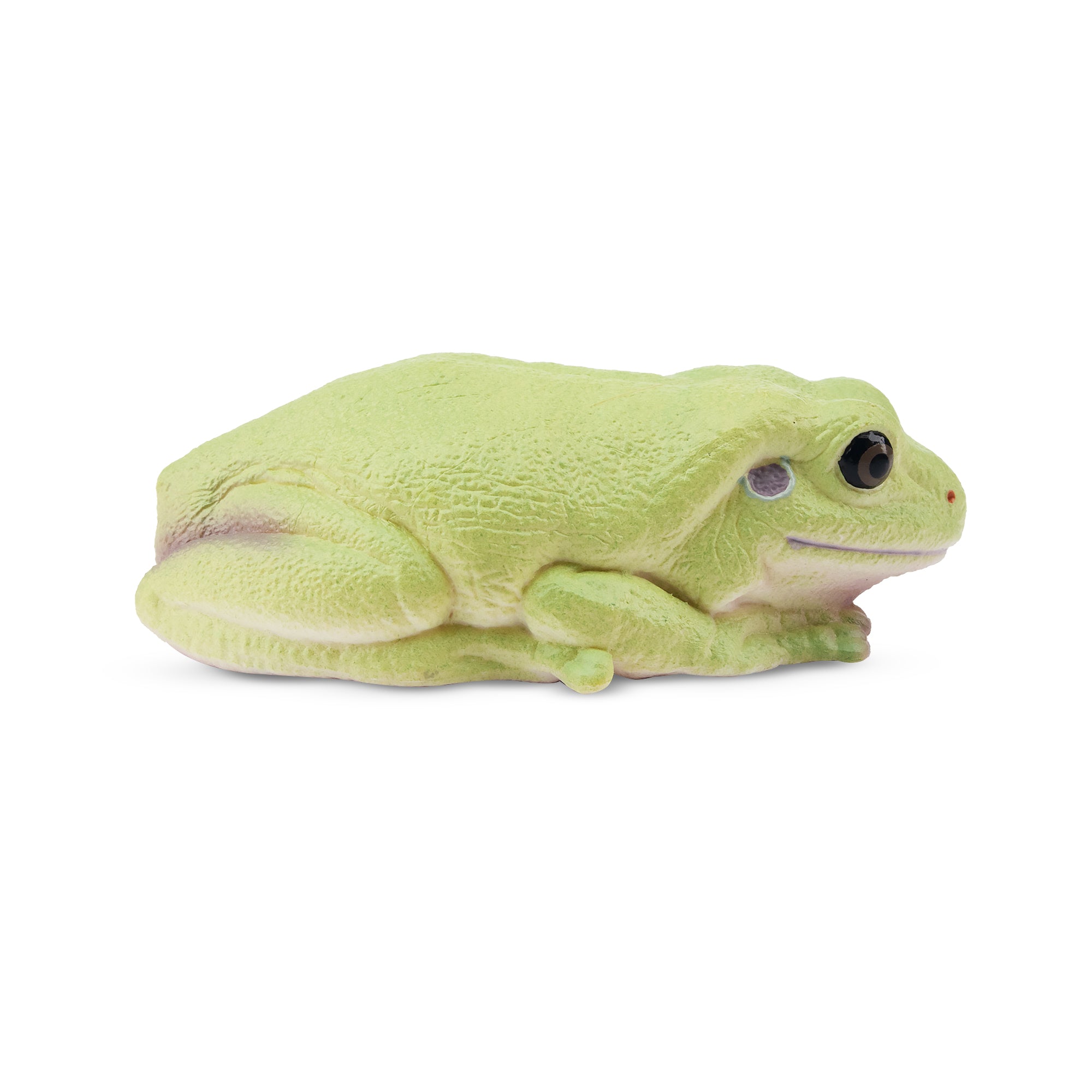 Toymany Australian Green Tree Frog Figurine Toy-2