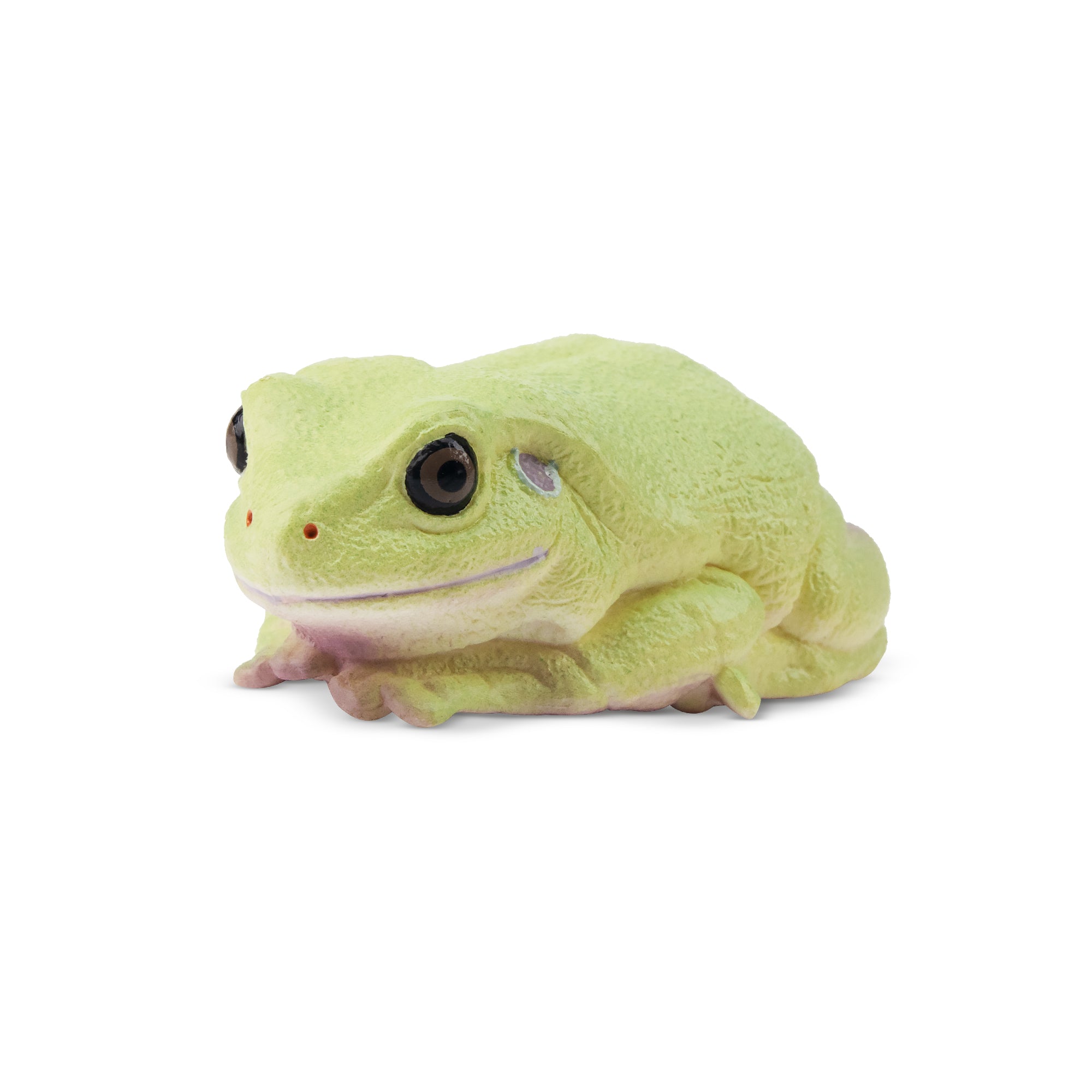 Toymany Australian Green Tree Frog Figurine Toy