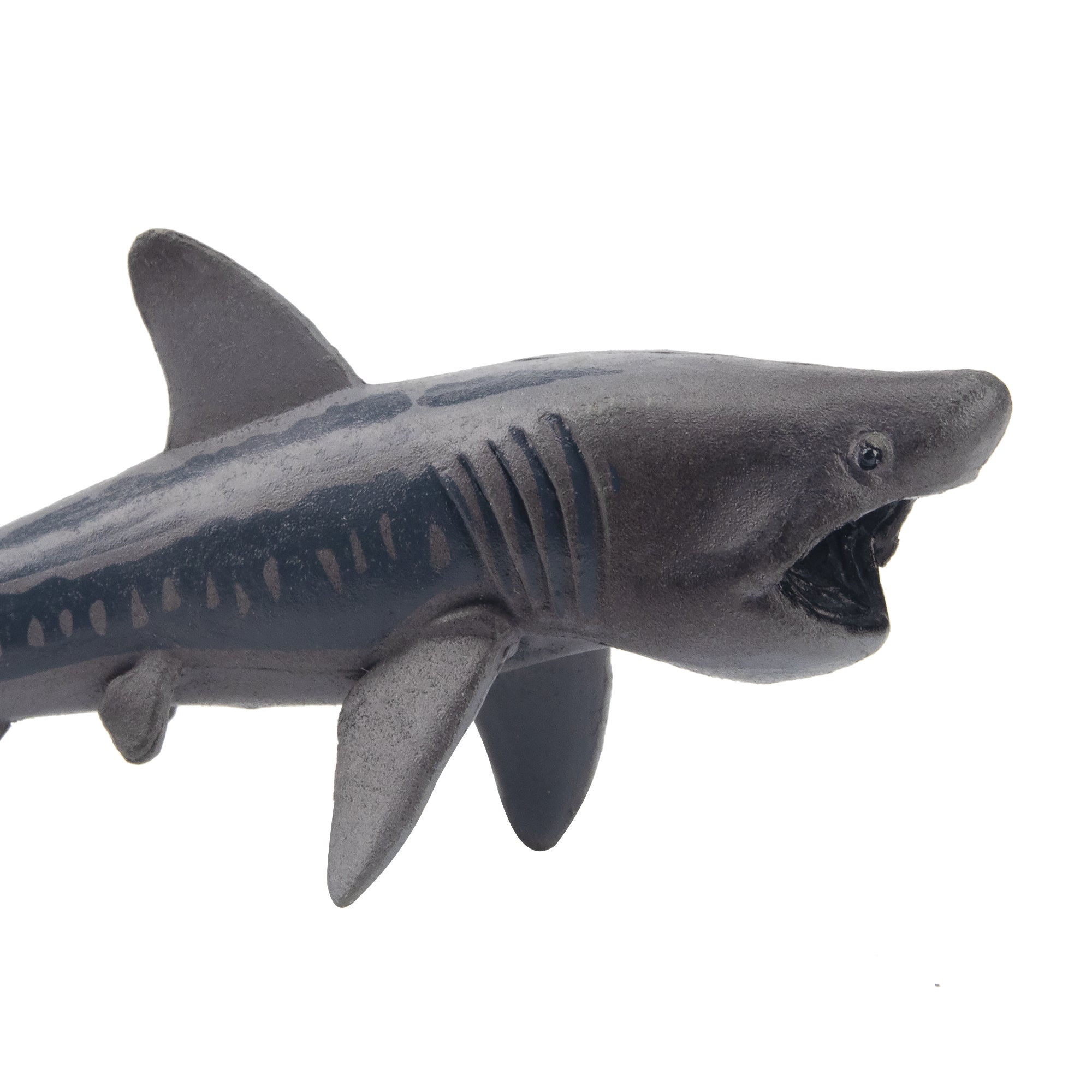 Toymany Basking Shark Figurine Toy-detail
