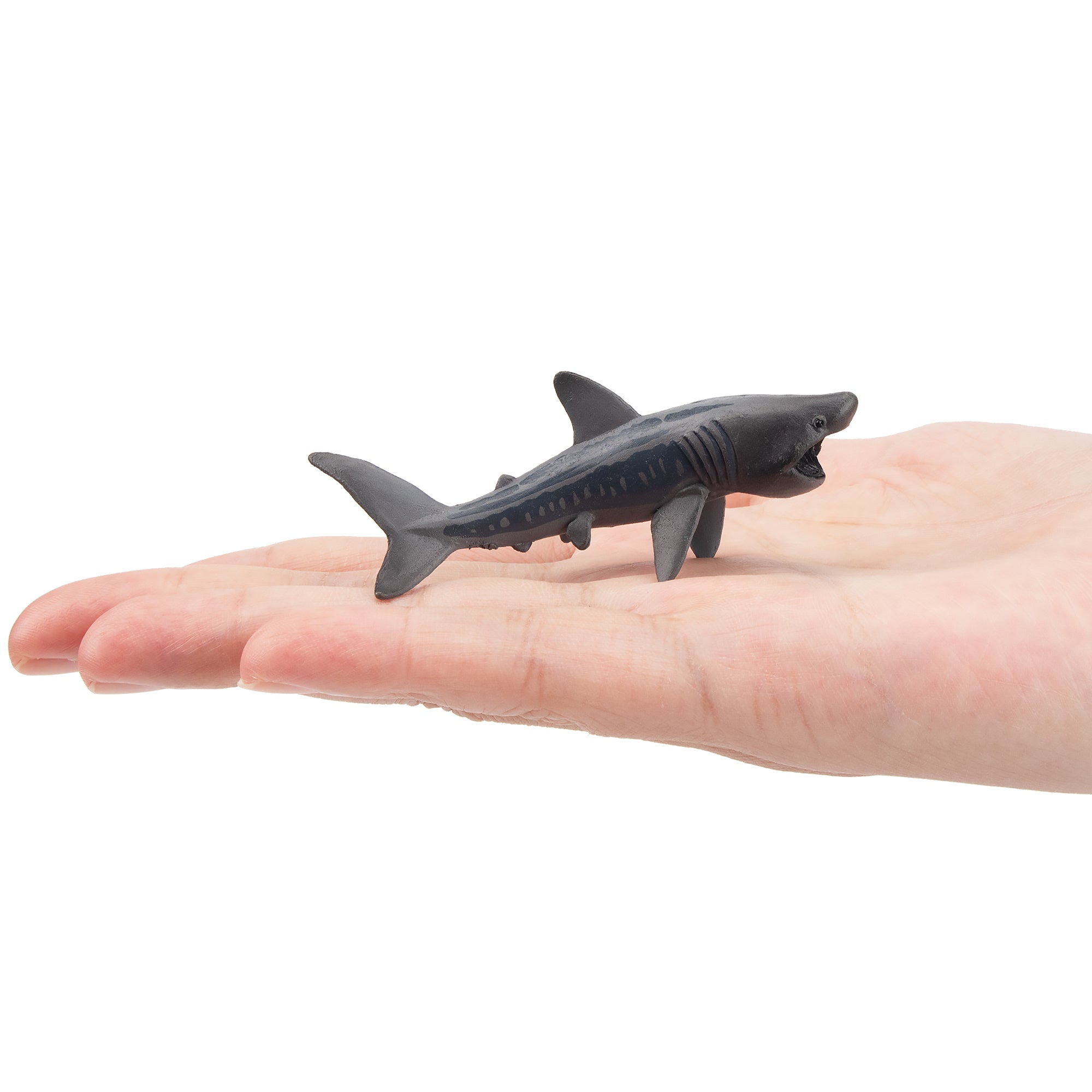 Toymany Basking Shark Figurine Toy-on hand