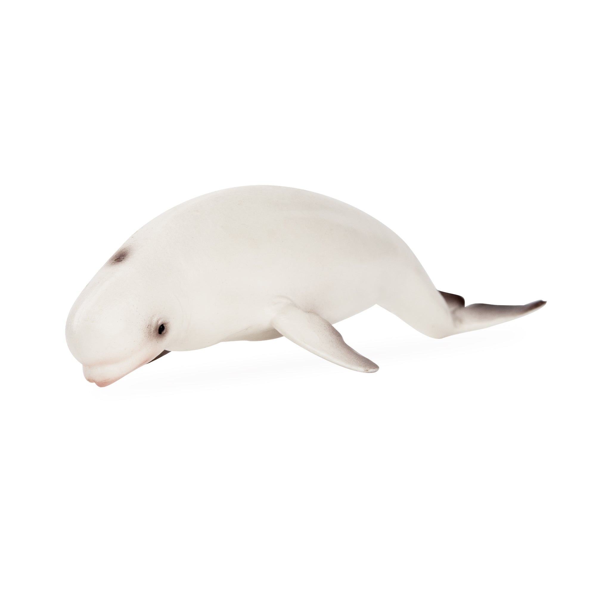 Toymany Beluga Whale Figurine Toy-2