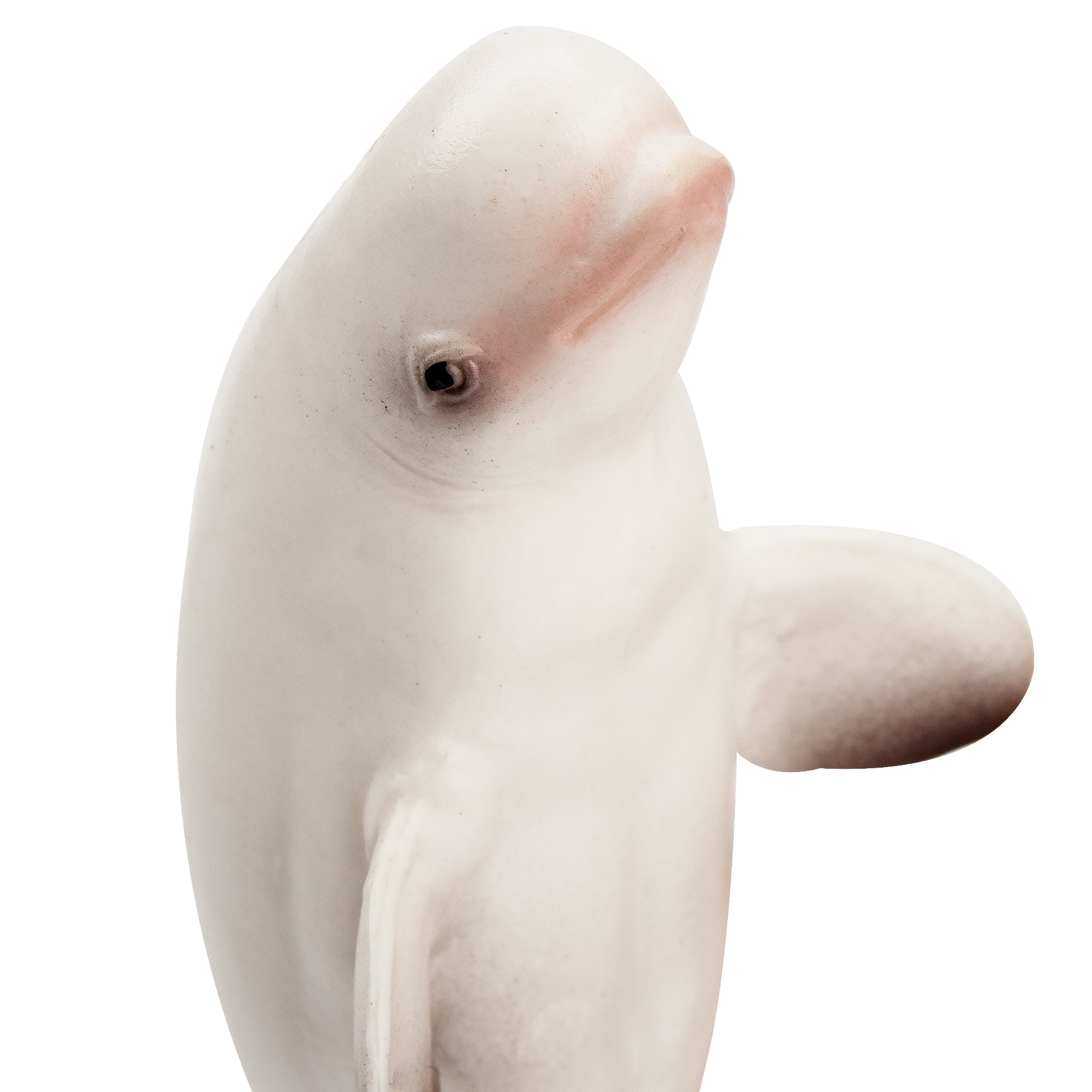 Toymany Beluga Whale Figurine Toy-detail