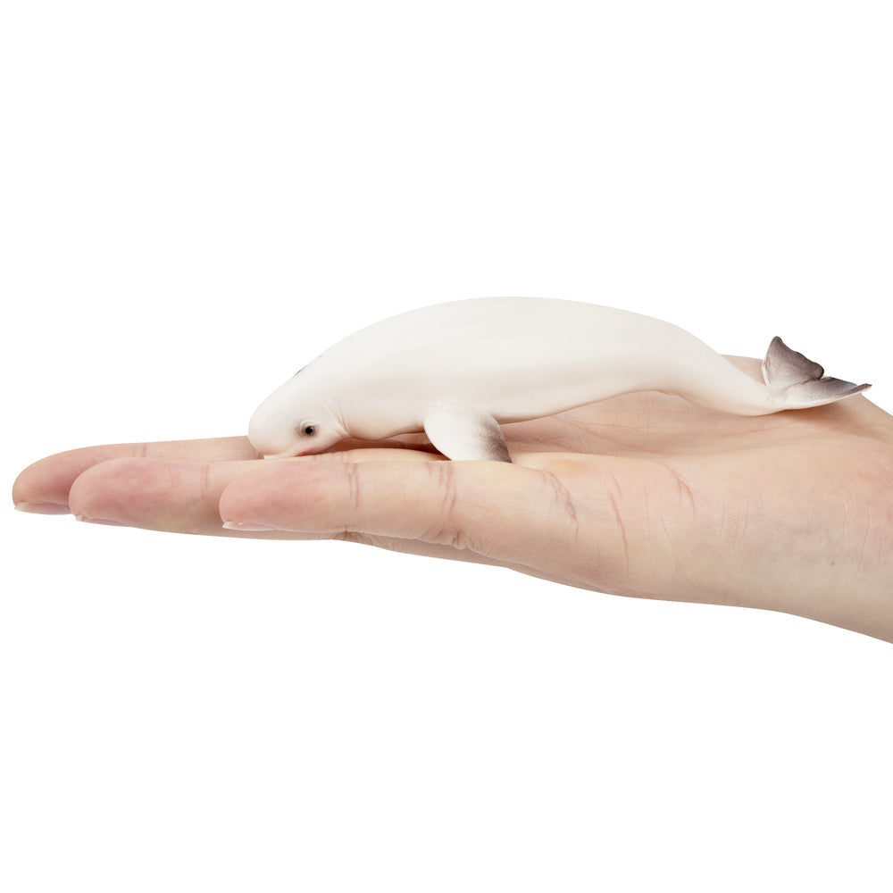 Toymany Beluga Whale Figurine | Realistic Animal Figurine Toy