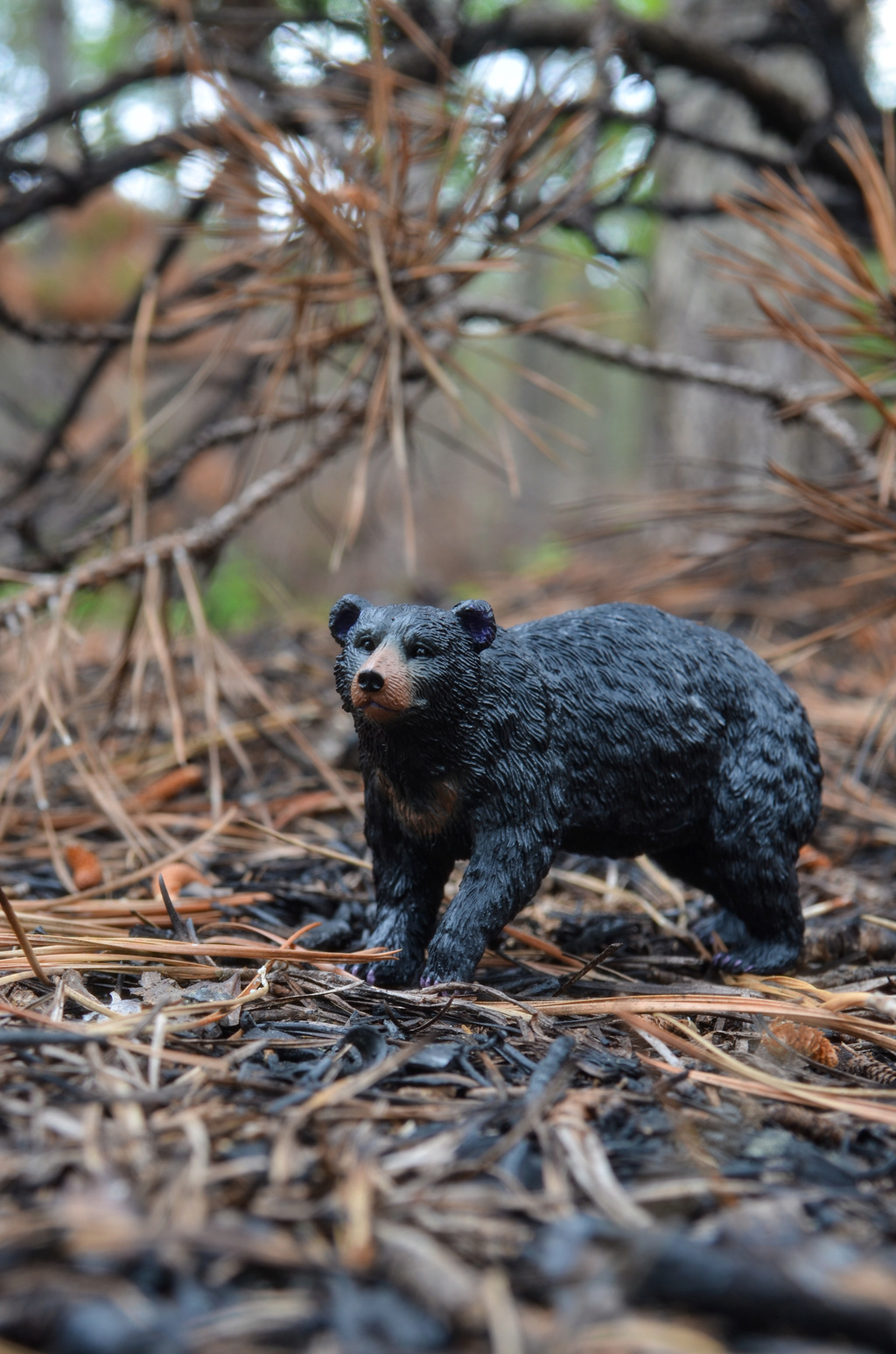 Toymany Black Bear Figurine Toy-outdoor