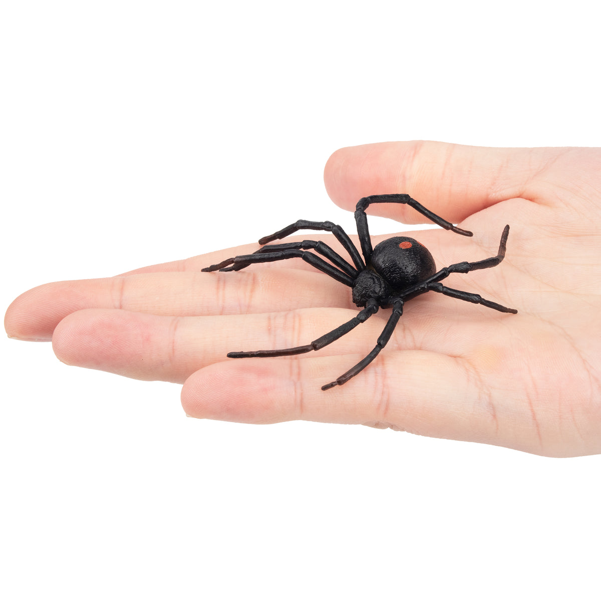 Toymany Black Widow Spider Figurine | Realistic Animal Figurine Toy