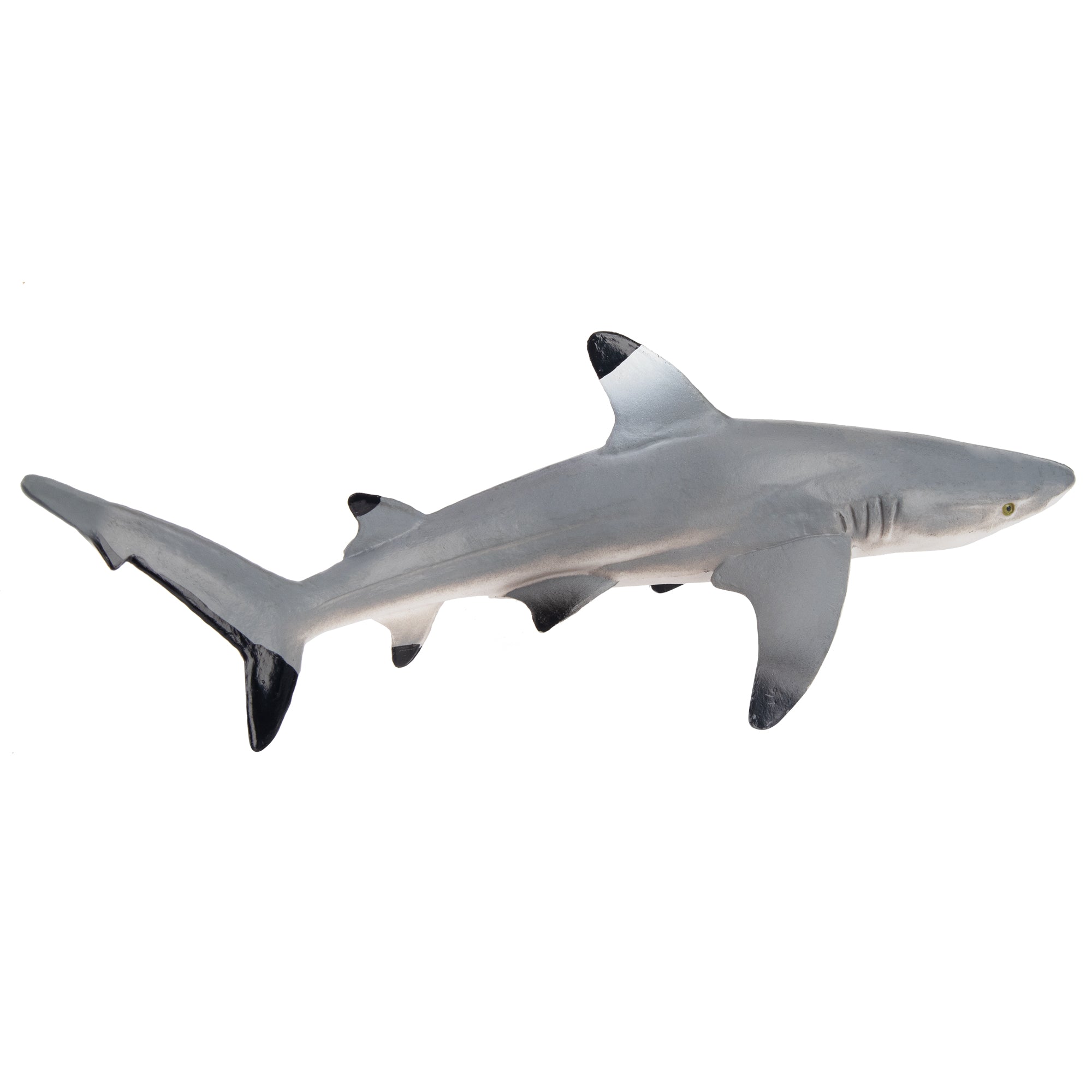 Toymany Blacktip Reef Shark Figurine Toy-2