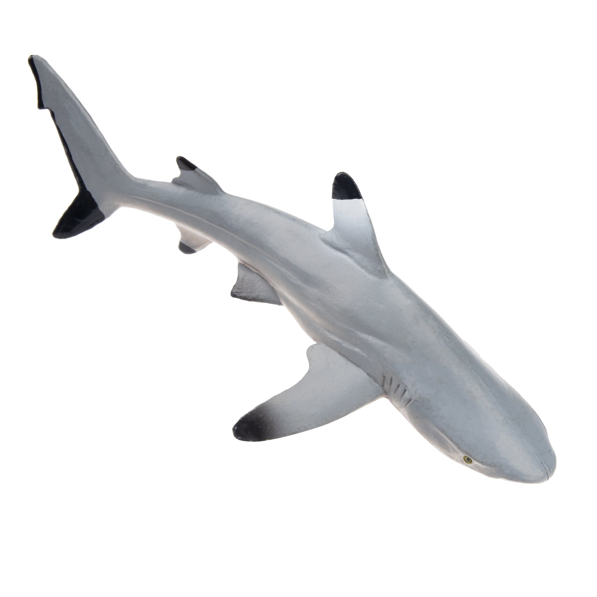 Toymany Blacktip Reef Shark Figurine Toy-front
