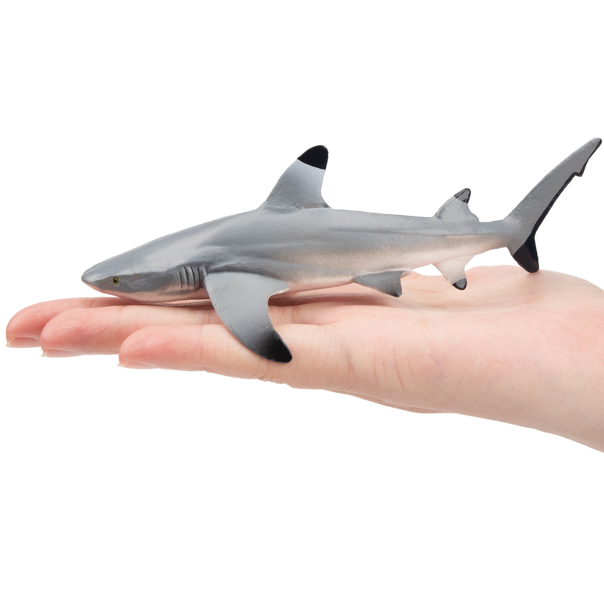 Toymany Blacktip Reef Shark Figurine Toy-on hand