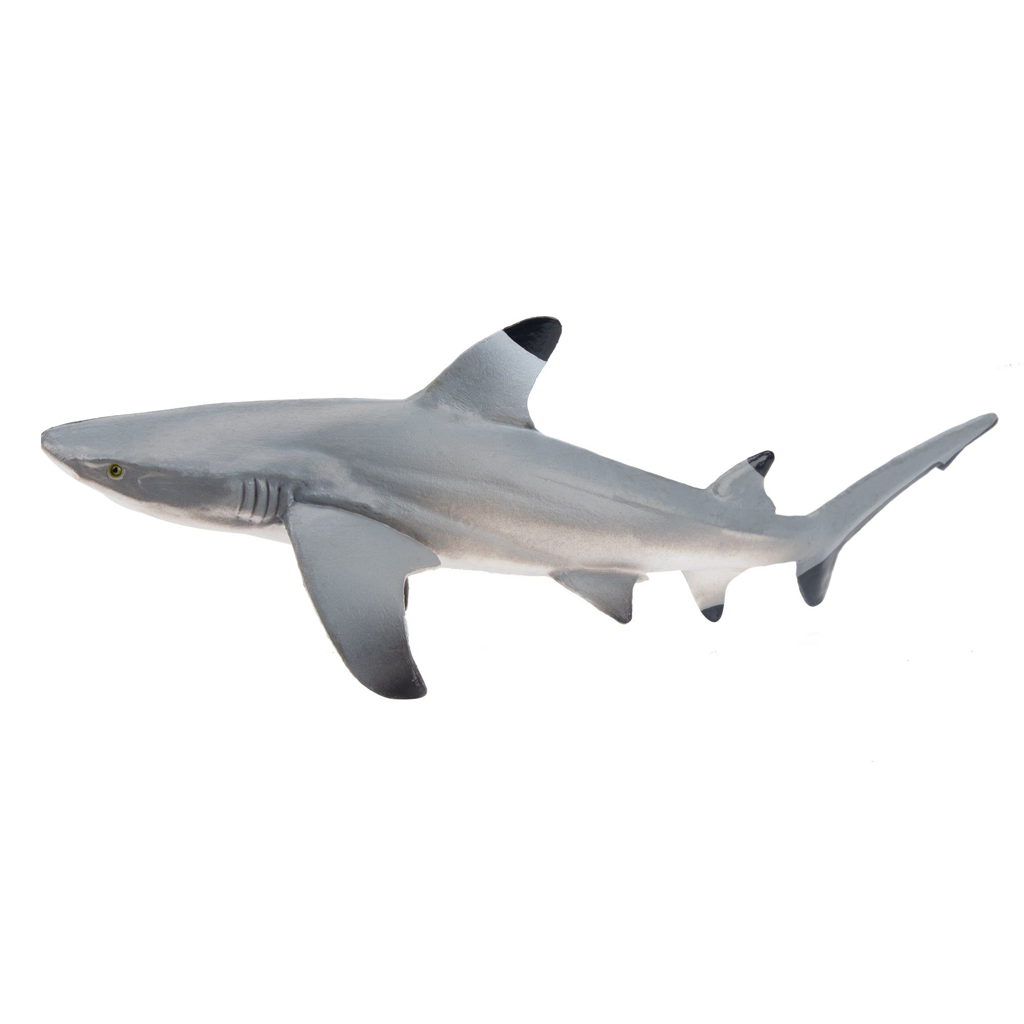 Toymany Blacktip Reef Shark Figurine Toy