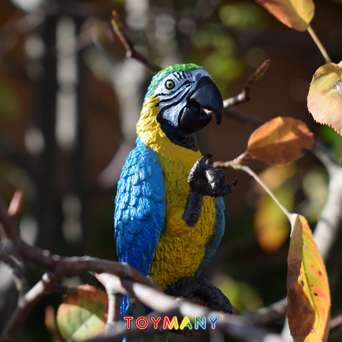 Toymany Blue-and-yellow Macaw Figurine Toy-scene