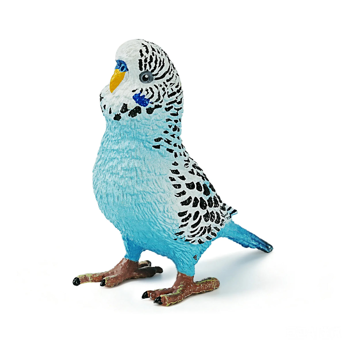 Toymany Blue Budgerigar Figurine Toy-2