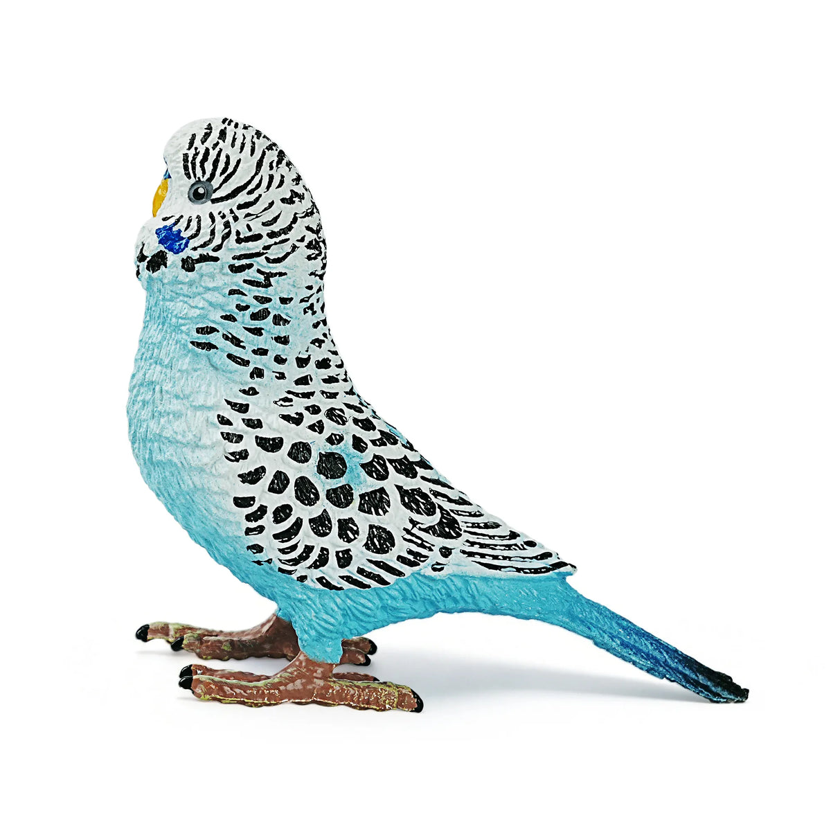 Toymany Blue Budgerigar Figurine Toy-3