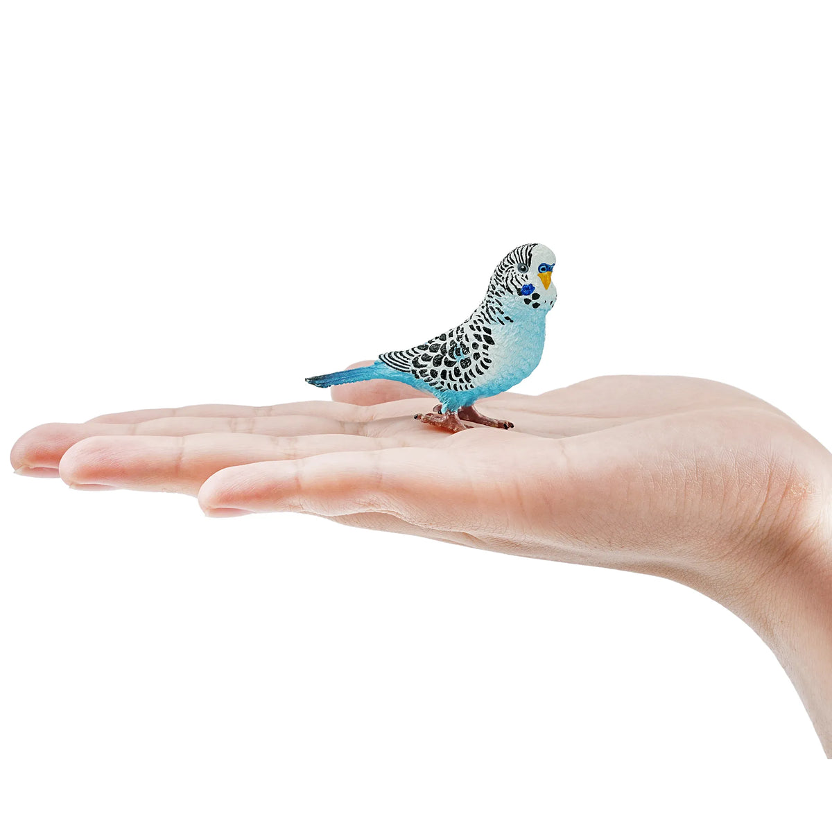 Toymany Blue Budgerigar Figurine Toy-on hand