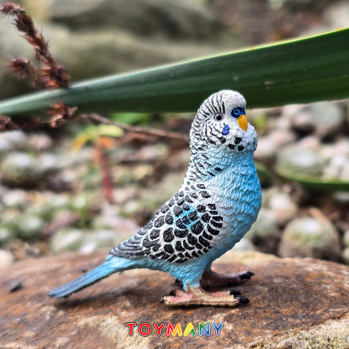 Toymany Blue Budgerigar Figurine Toy-scene