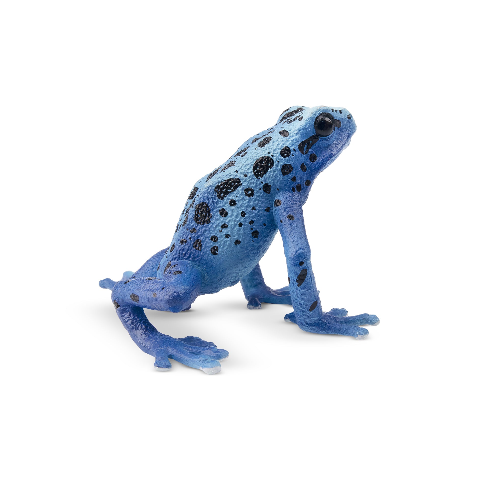 Toymany Blue Poison-Dart Frog Figurine Toy-2