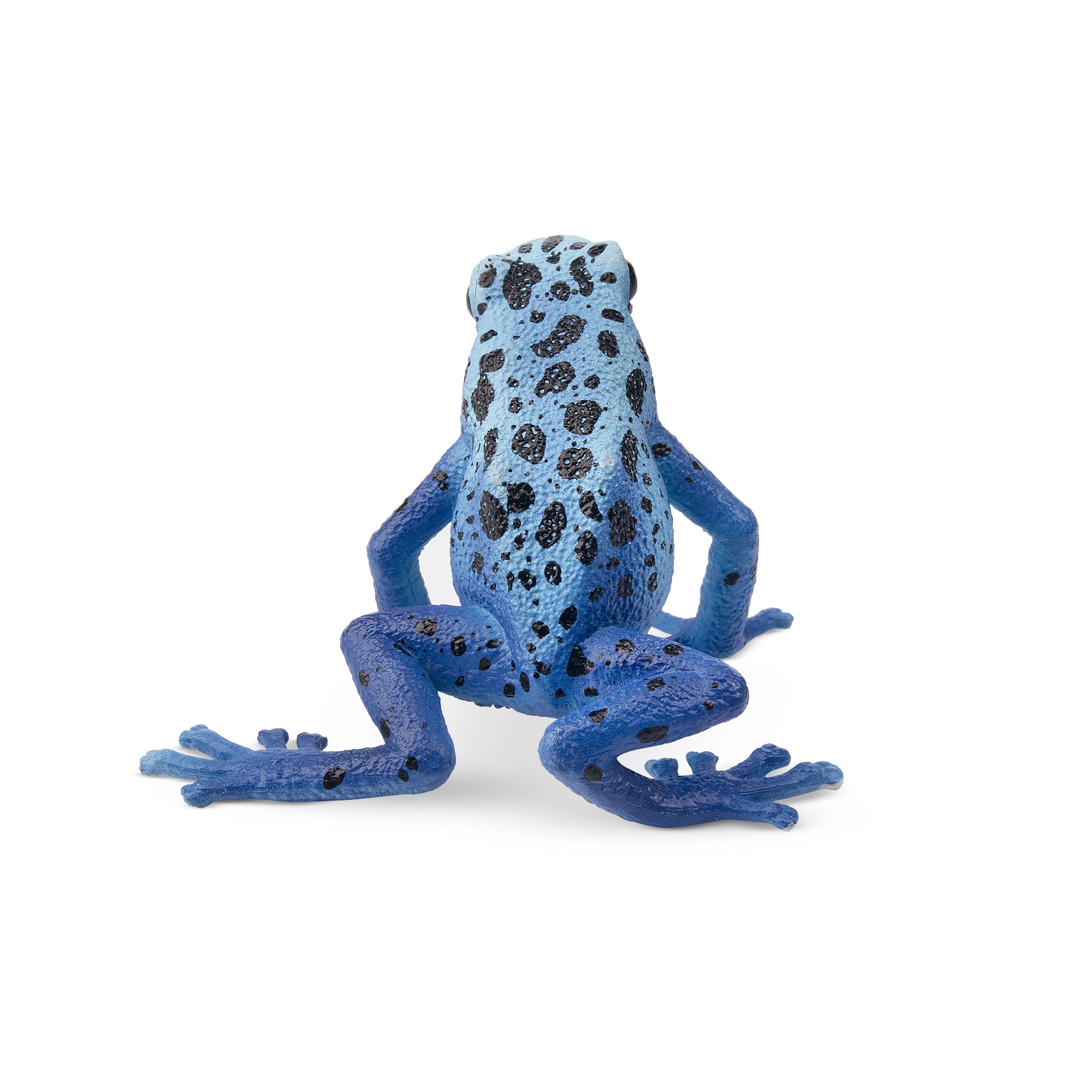 Toymany Blue Poison-Dart Frog Figurine Toy-back