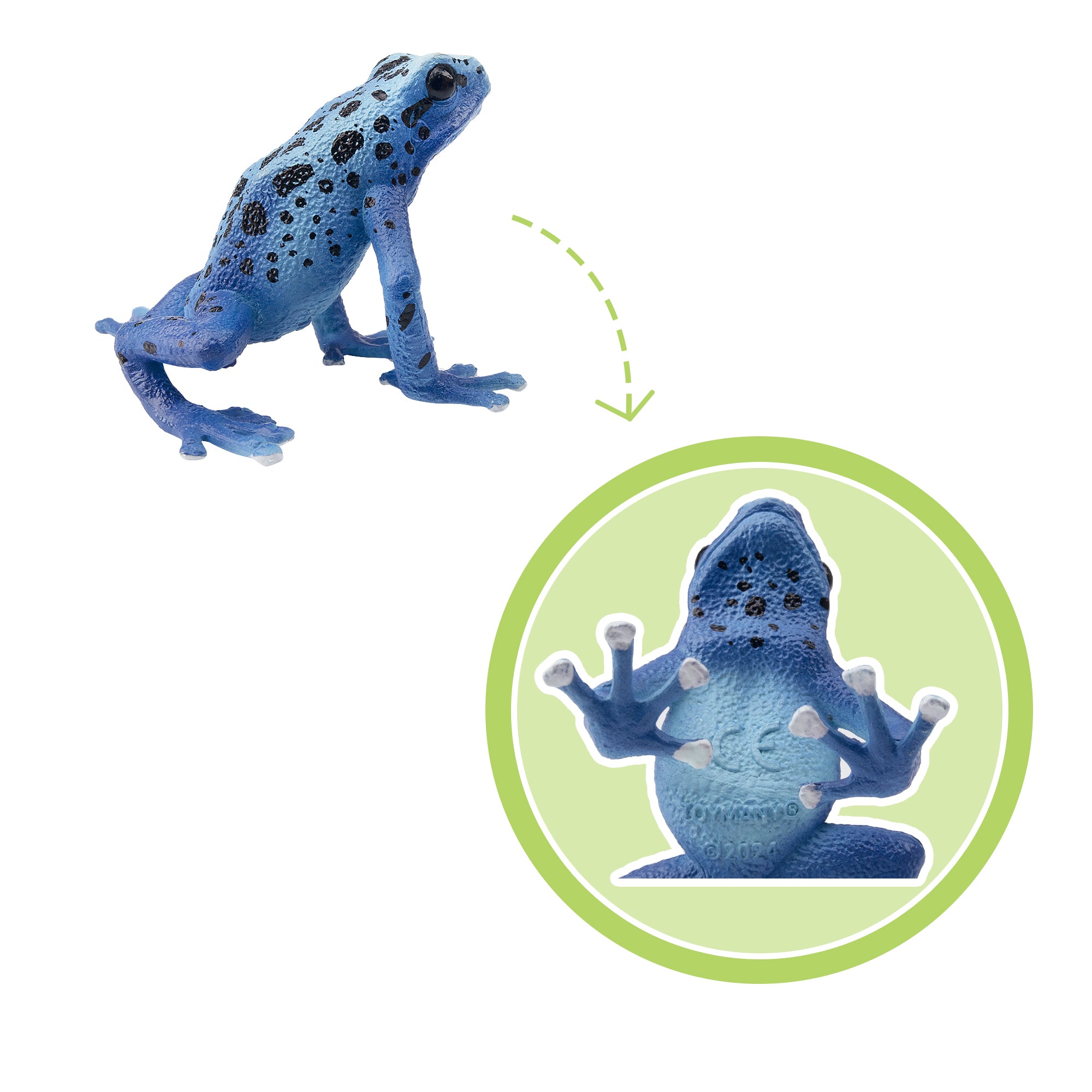 Toymany Blue Poison-Dart Frog Figurine Toy-detail