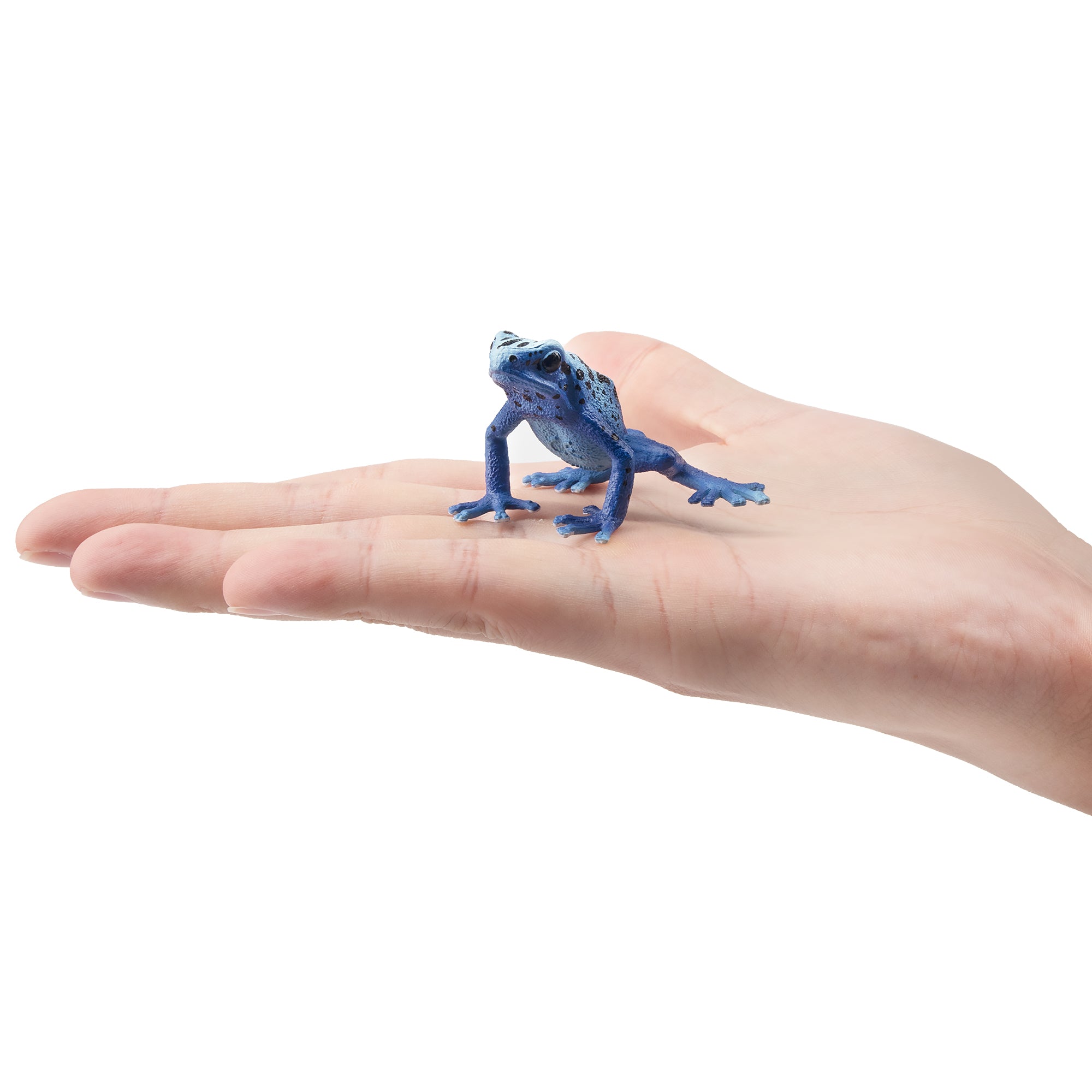 Toymany Blue Poison-Dart Frog Figurine Toy-on hand