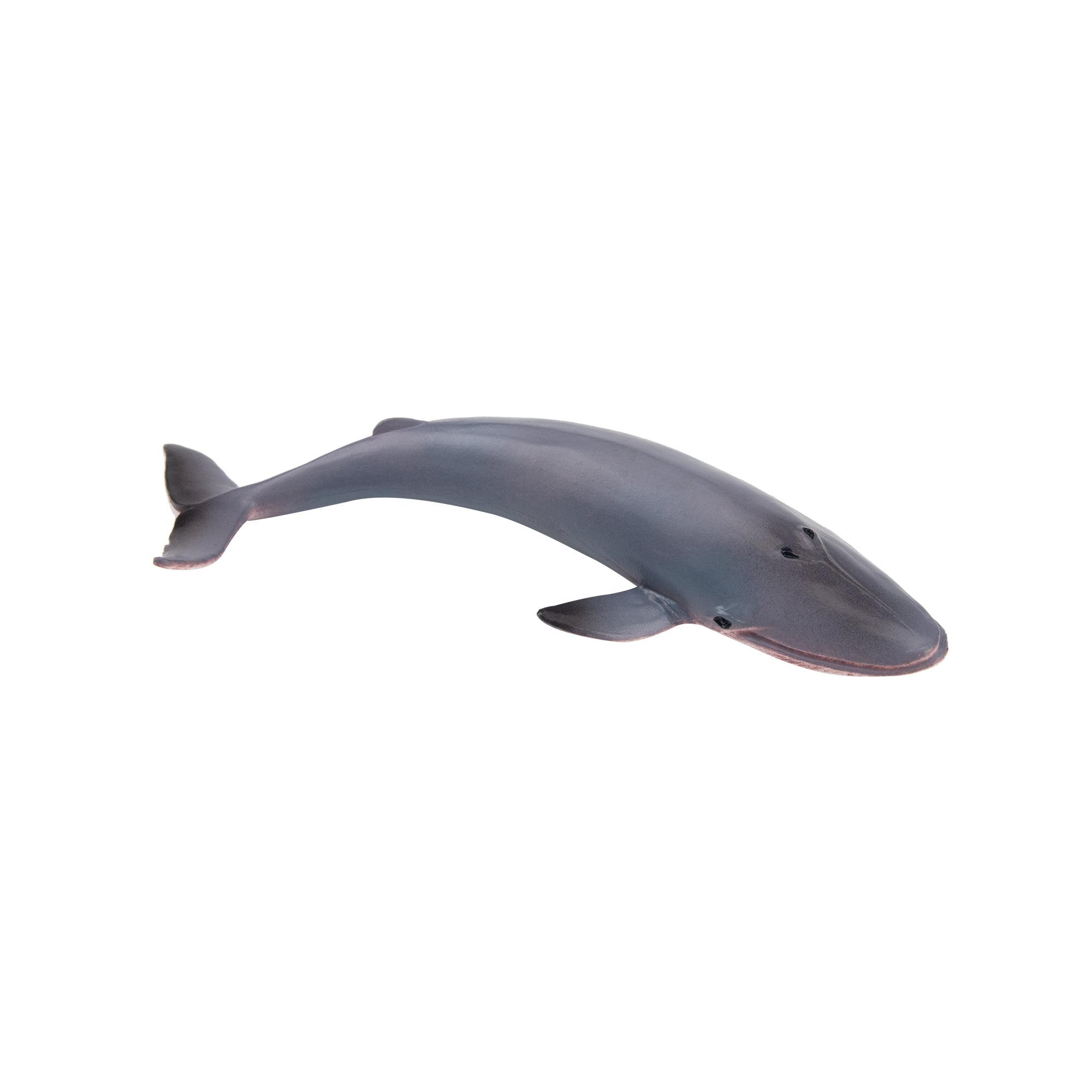 Toymany  Blue Whale Figurine Toy-side