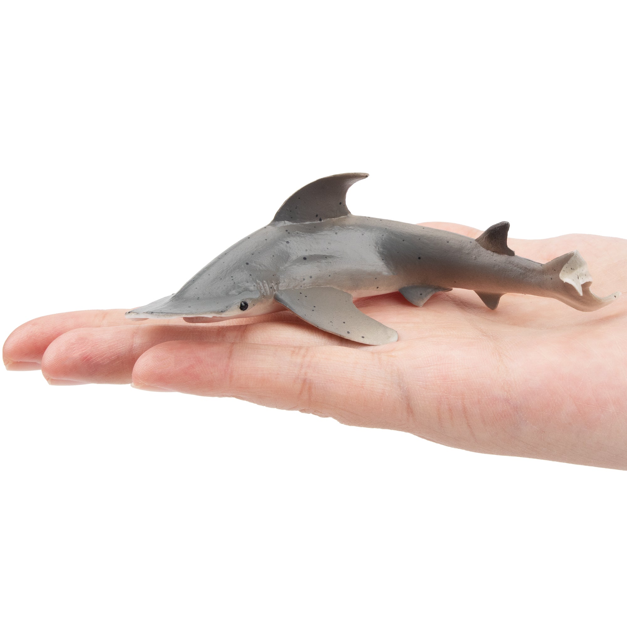 Toymany Bonnethead Hammerhead Shark Figurine Toy-on hand