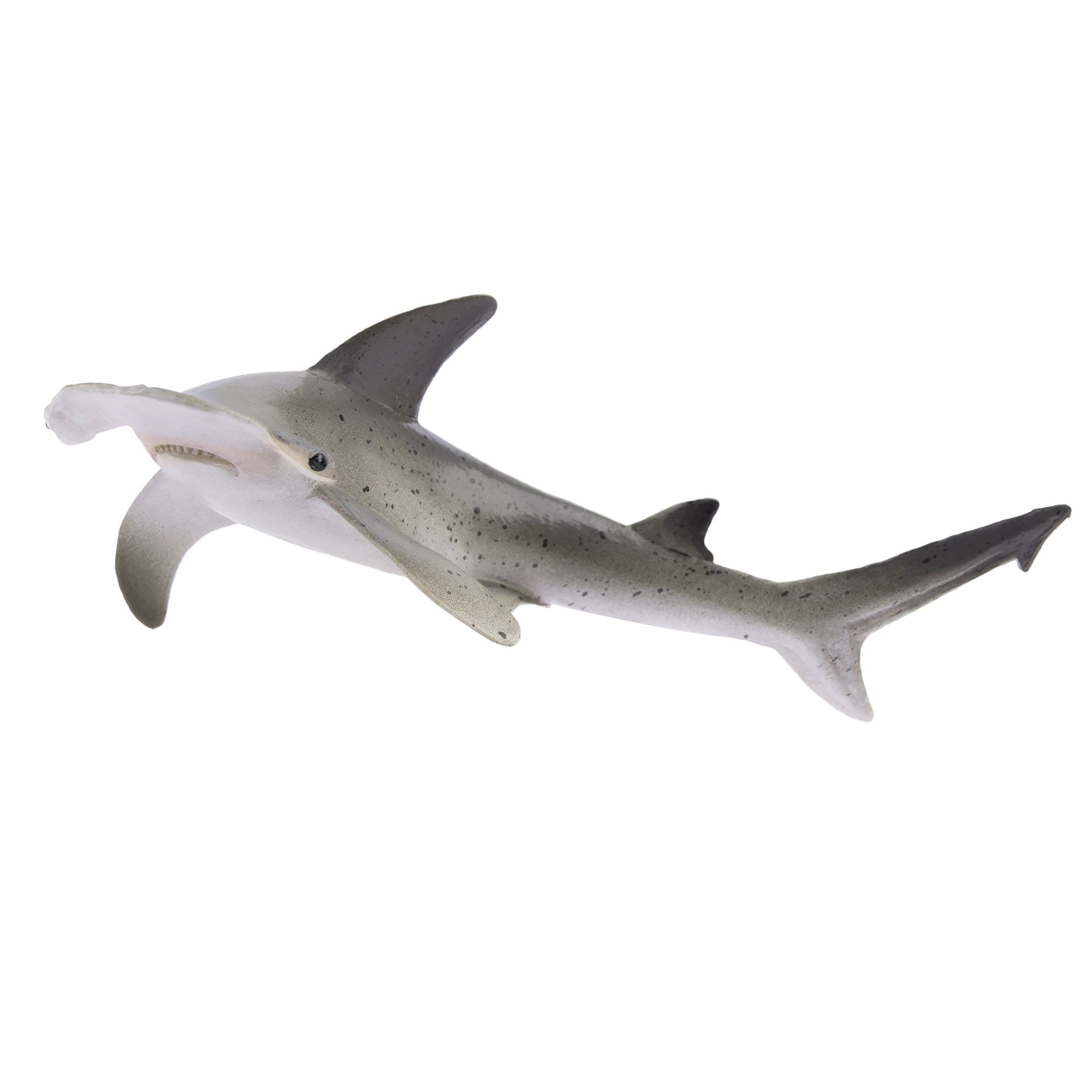 Toymany Bonnethead Hammerhead Shark Figurine Toy