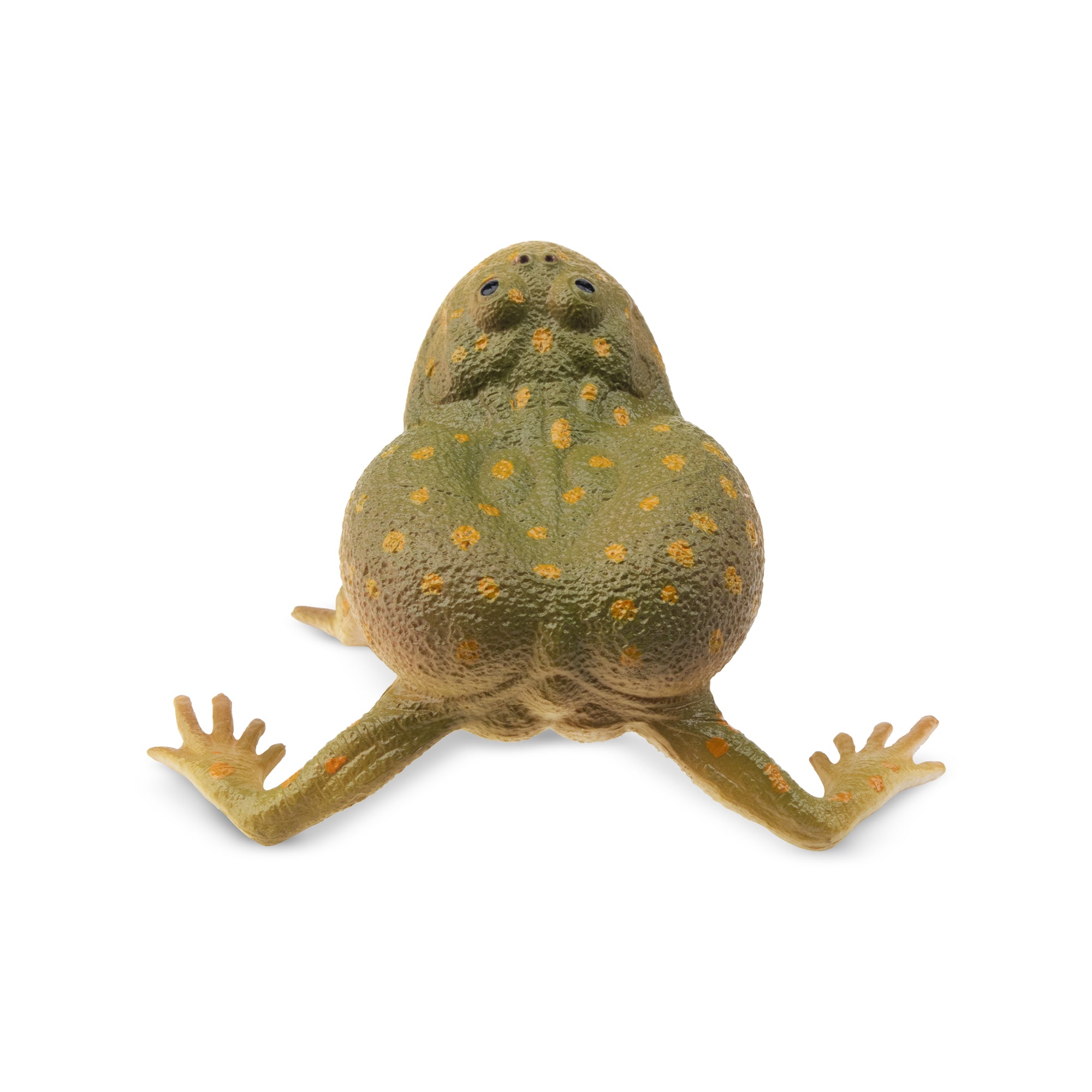 Toymany Budgett's Frog Figurine Toy-back