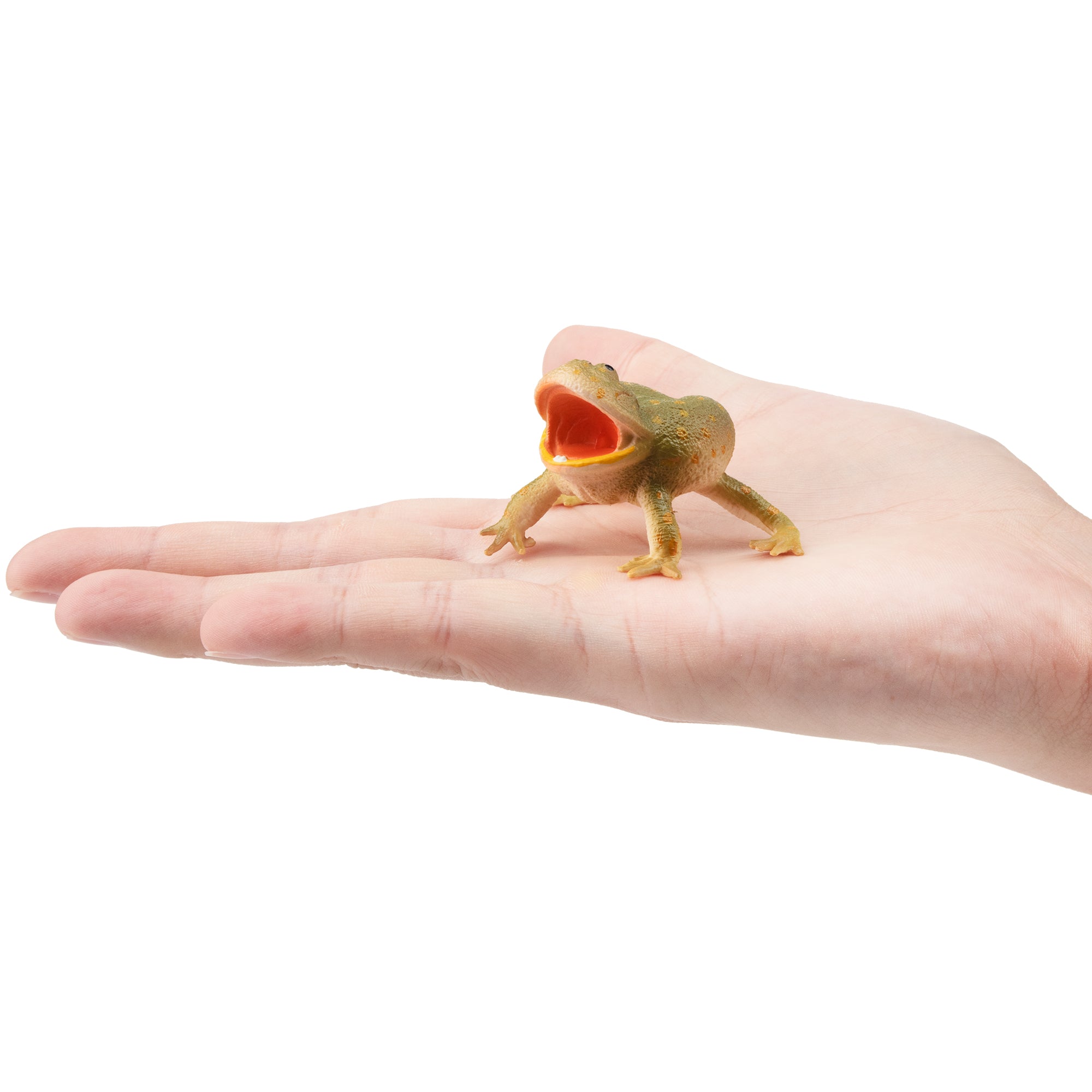 Toymany Budgett's Frog Figurine Toy-on hand