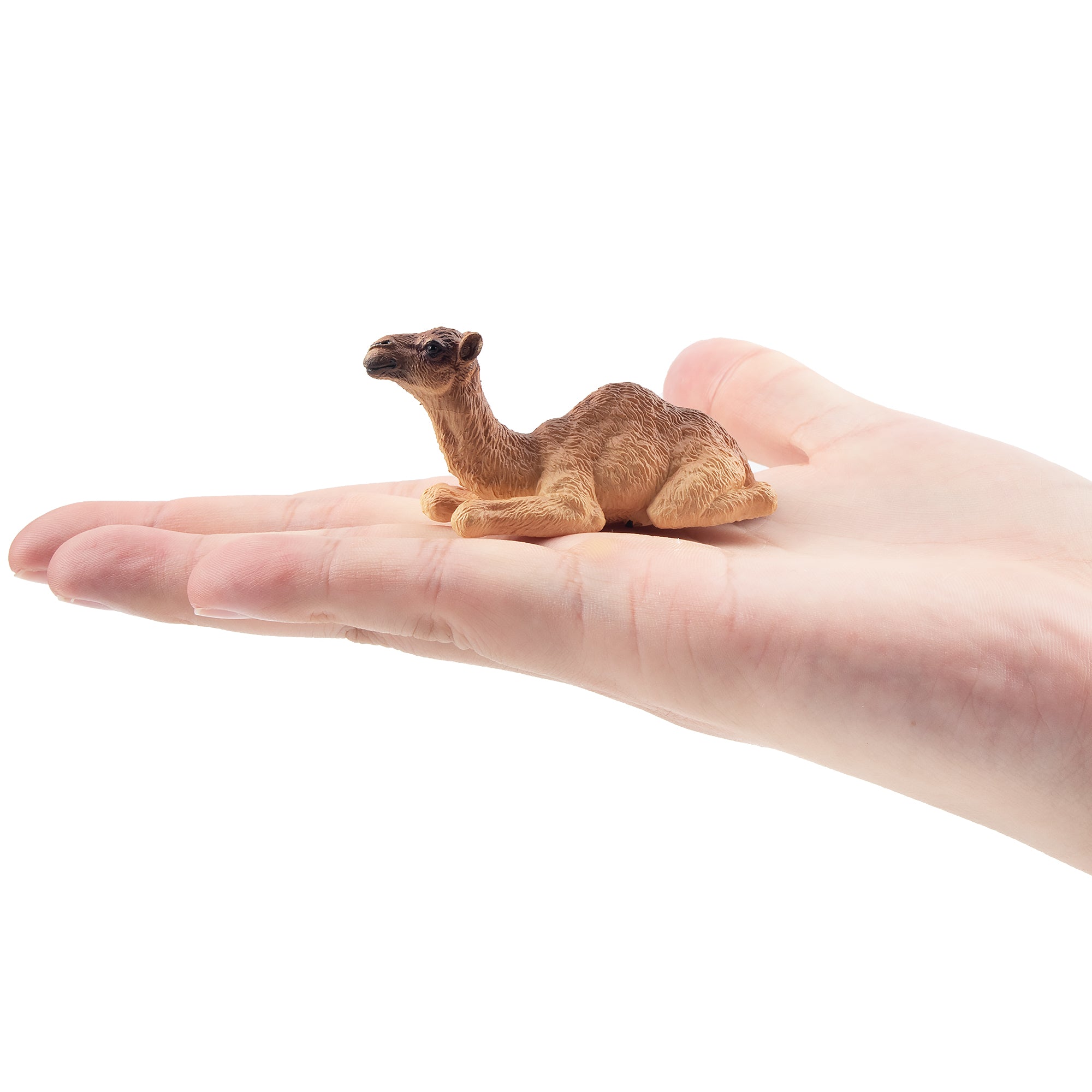 Toymany Camel Calf Figurine Toy-on hand